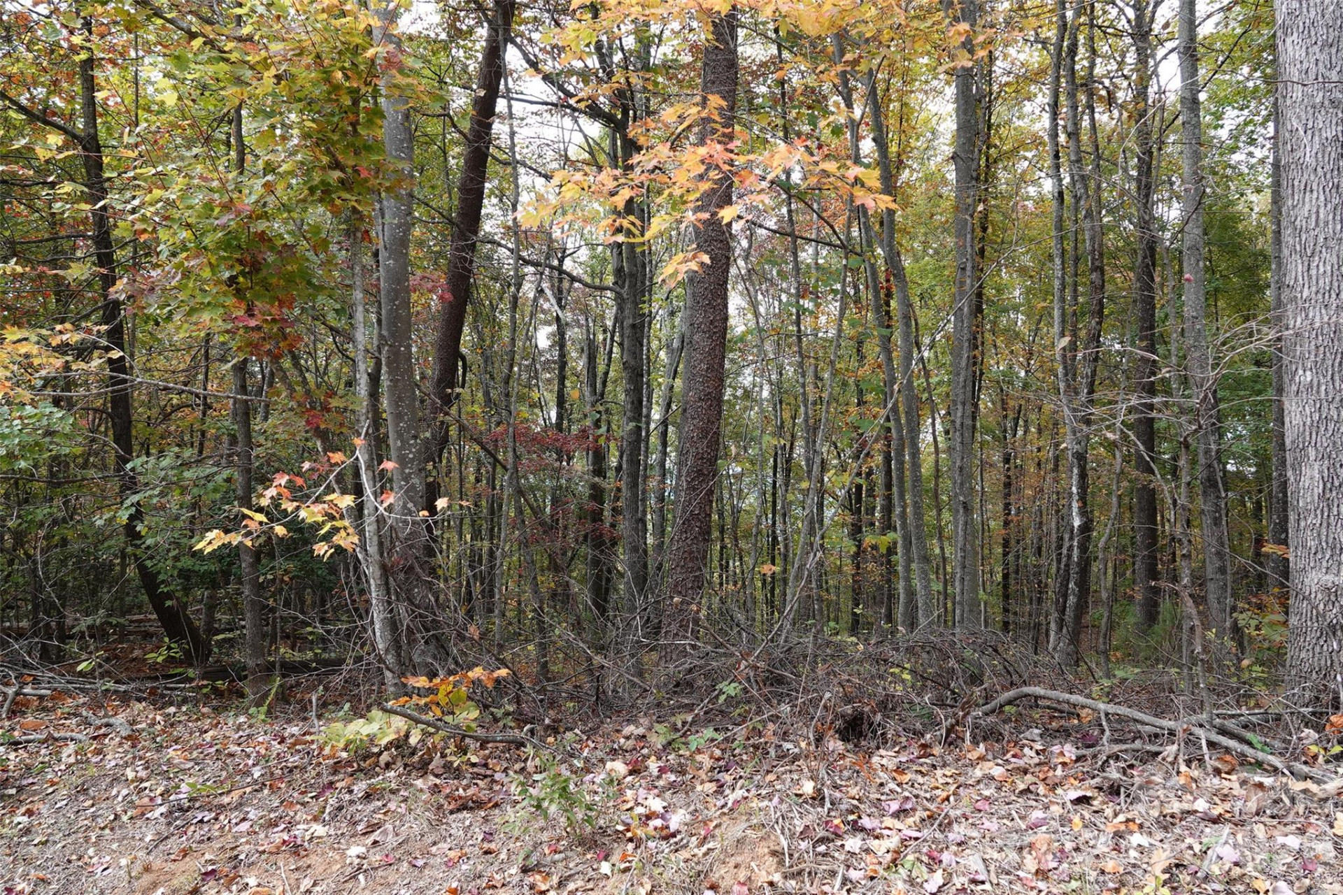 100 Sunset Drive - Photo 10