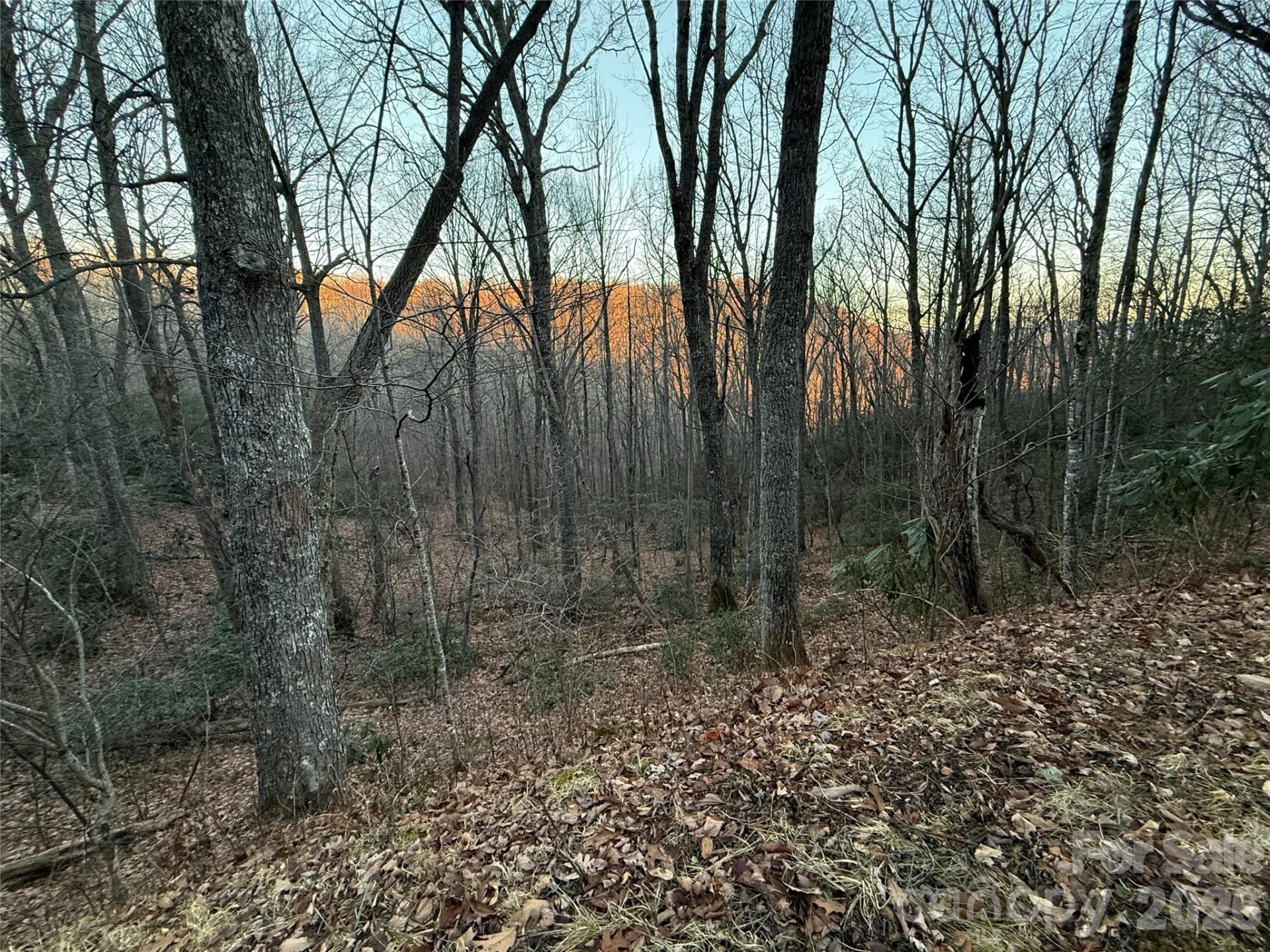 Lot 32 Bear Hollow Road #32 - Photo 3