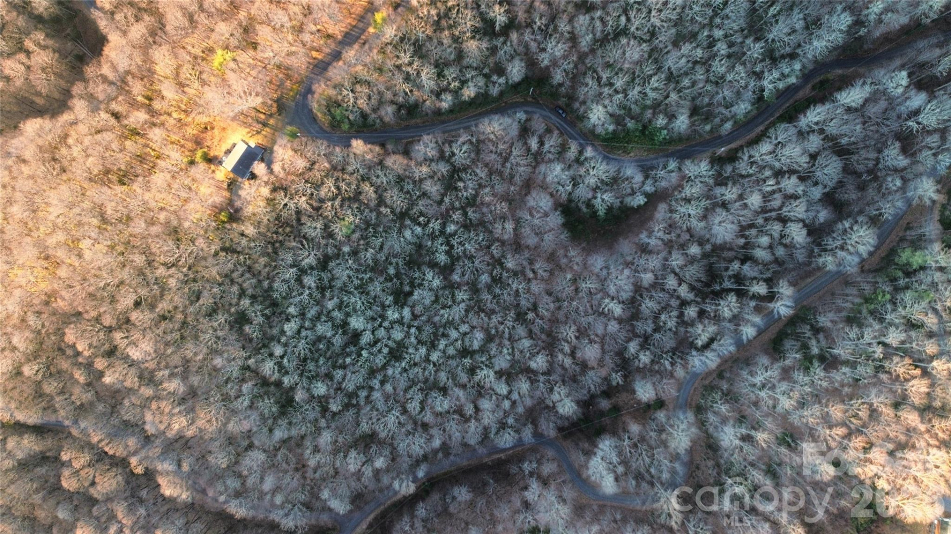 Lot 32 Bear Hollow Road #32 - Photo 5