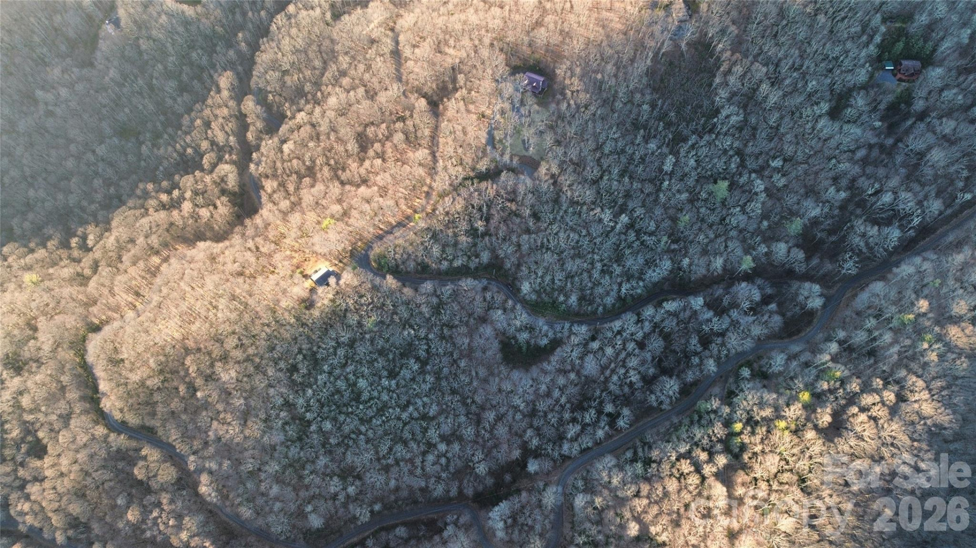 Lot 32 Bear Hollow Road #32 - Photo 6