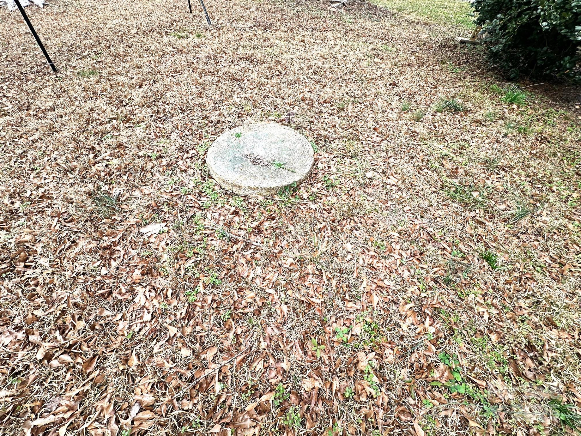 170 Proctor School Road - Photo 33