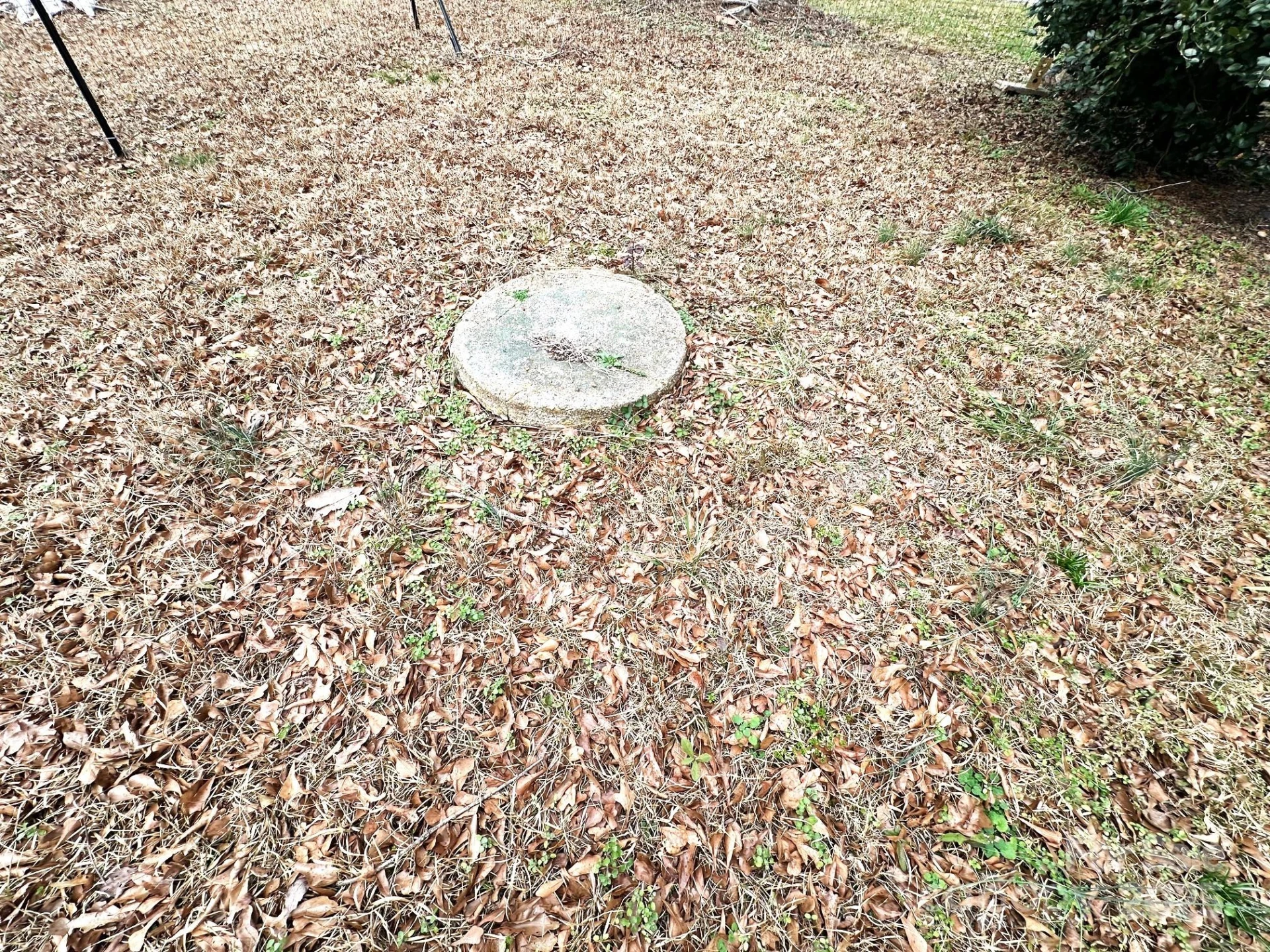 170 Proctor School Road - Photo 33