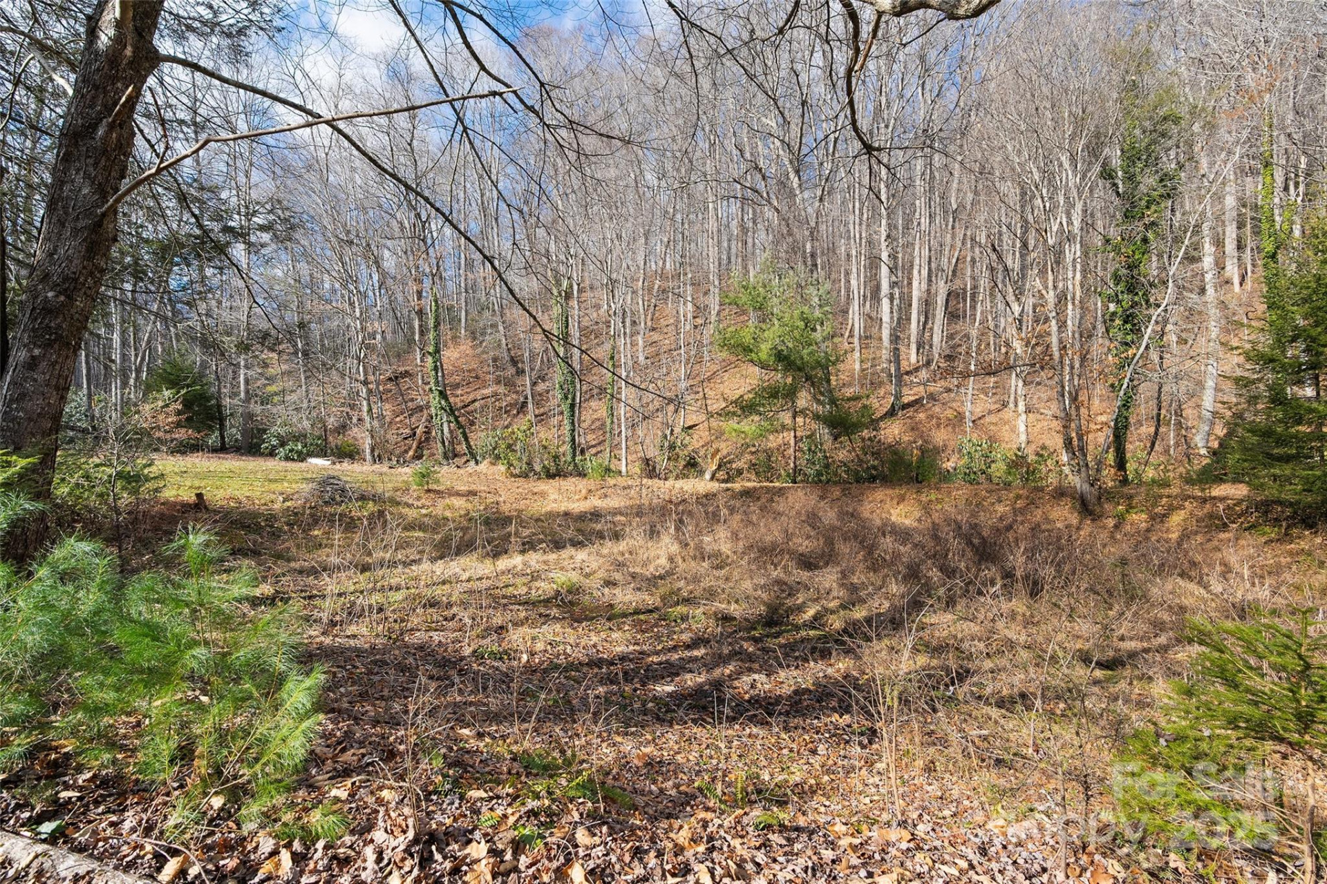 20826 Great Smoky Mountain Expressway - Photo 40