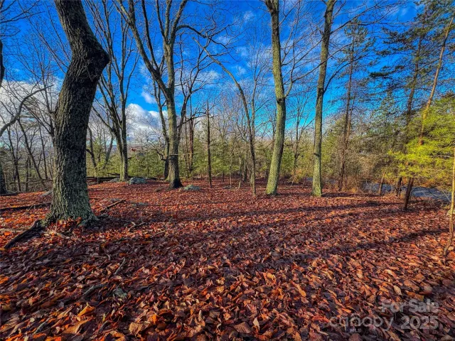 338 Sierra Trace Road, Denton, NC, 27239
