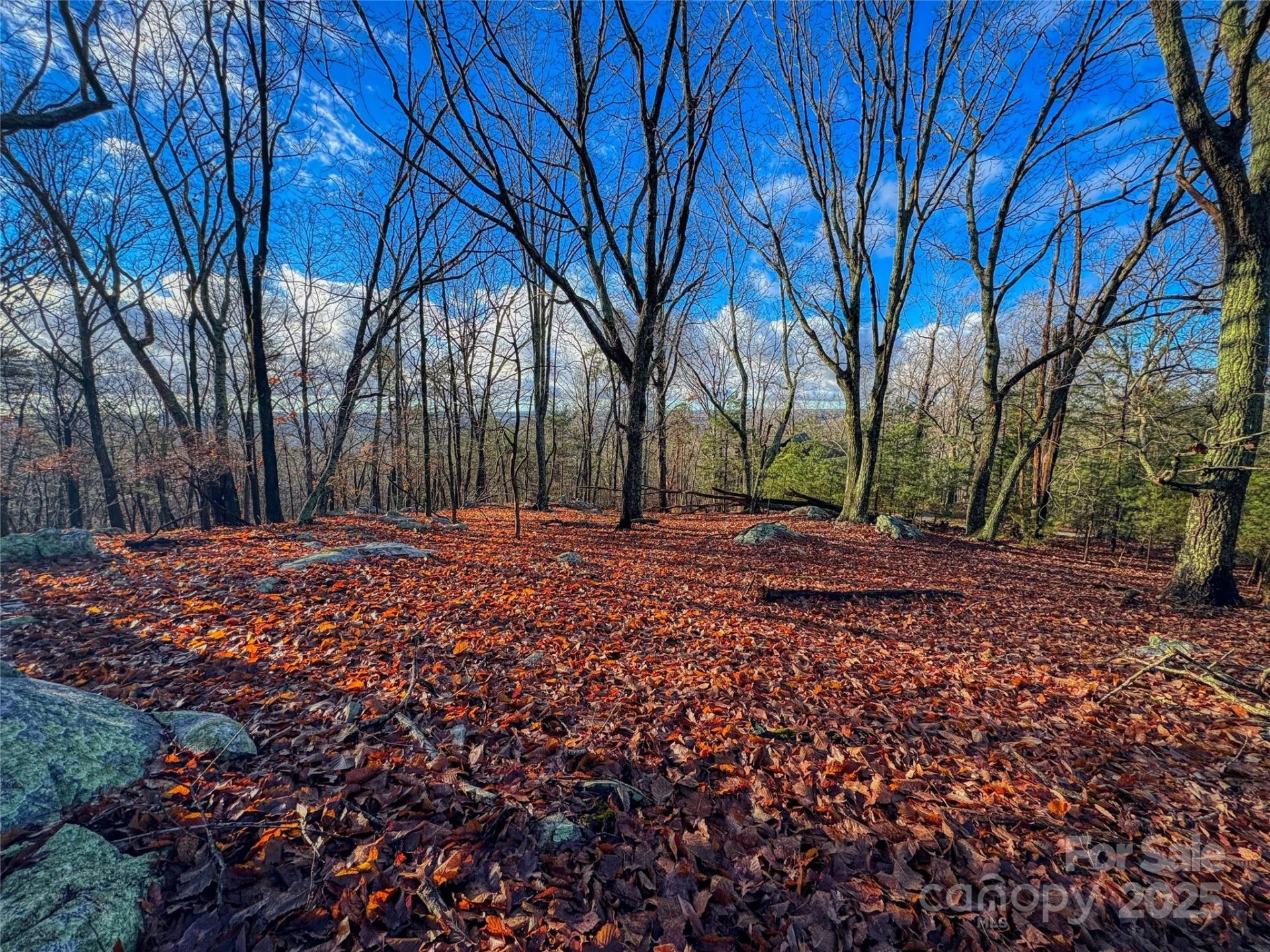 338 Sierra Trace Road - Photo 2