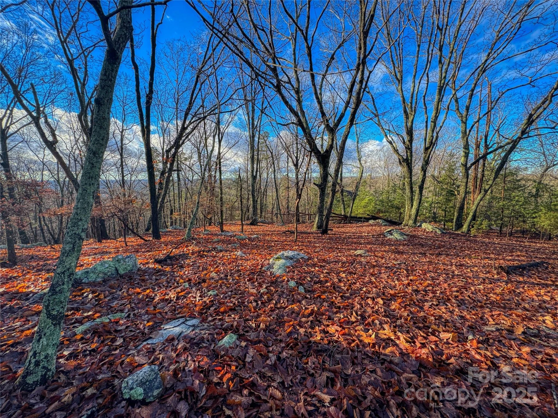 338 Sierra Trace Road - Photo 3