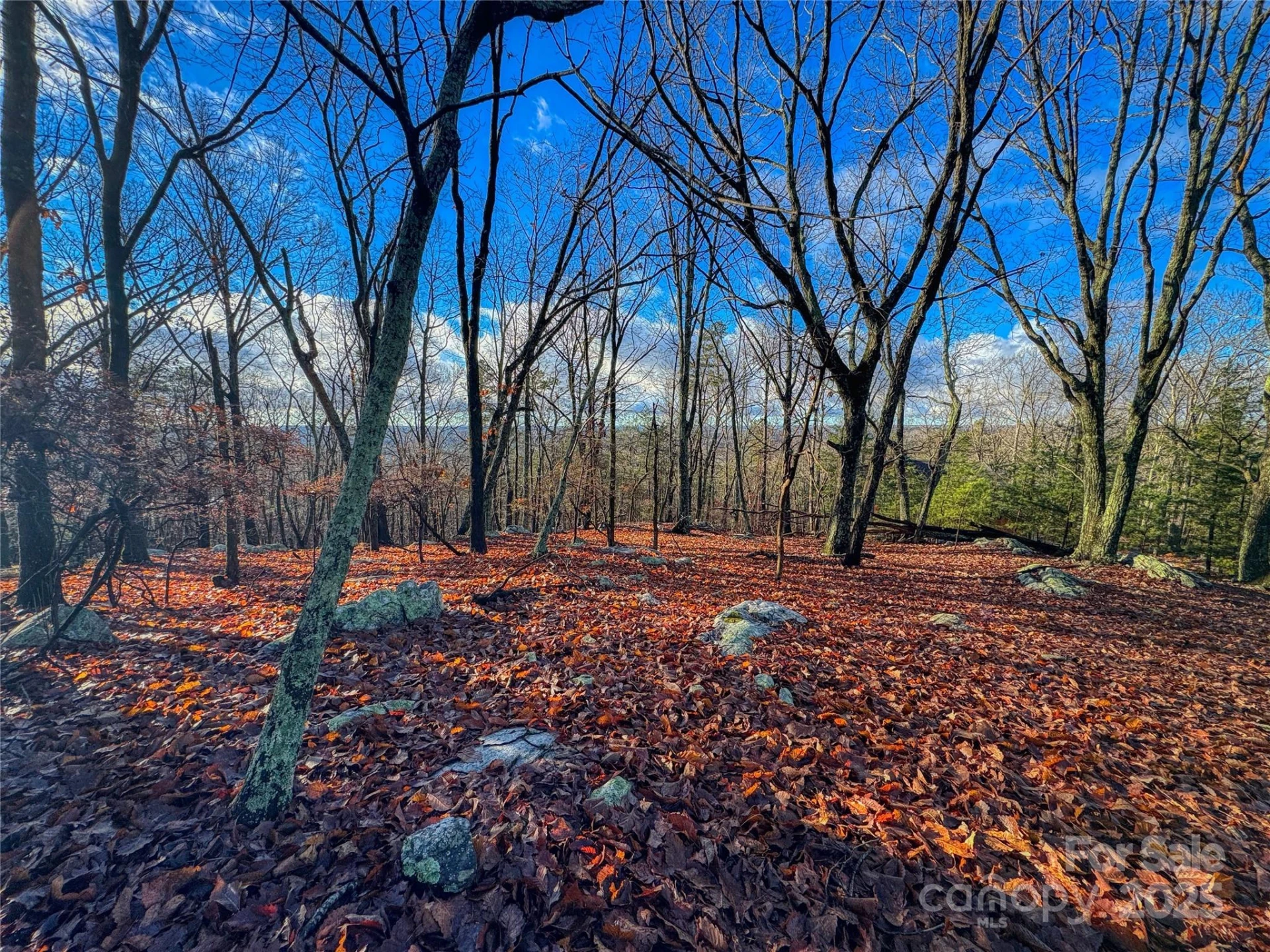 338 Sierra Trace Road - Photo 4