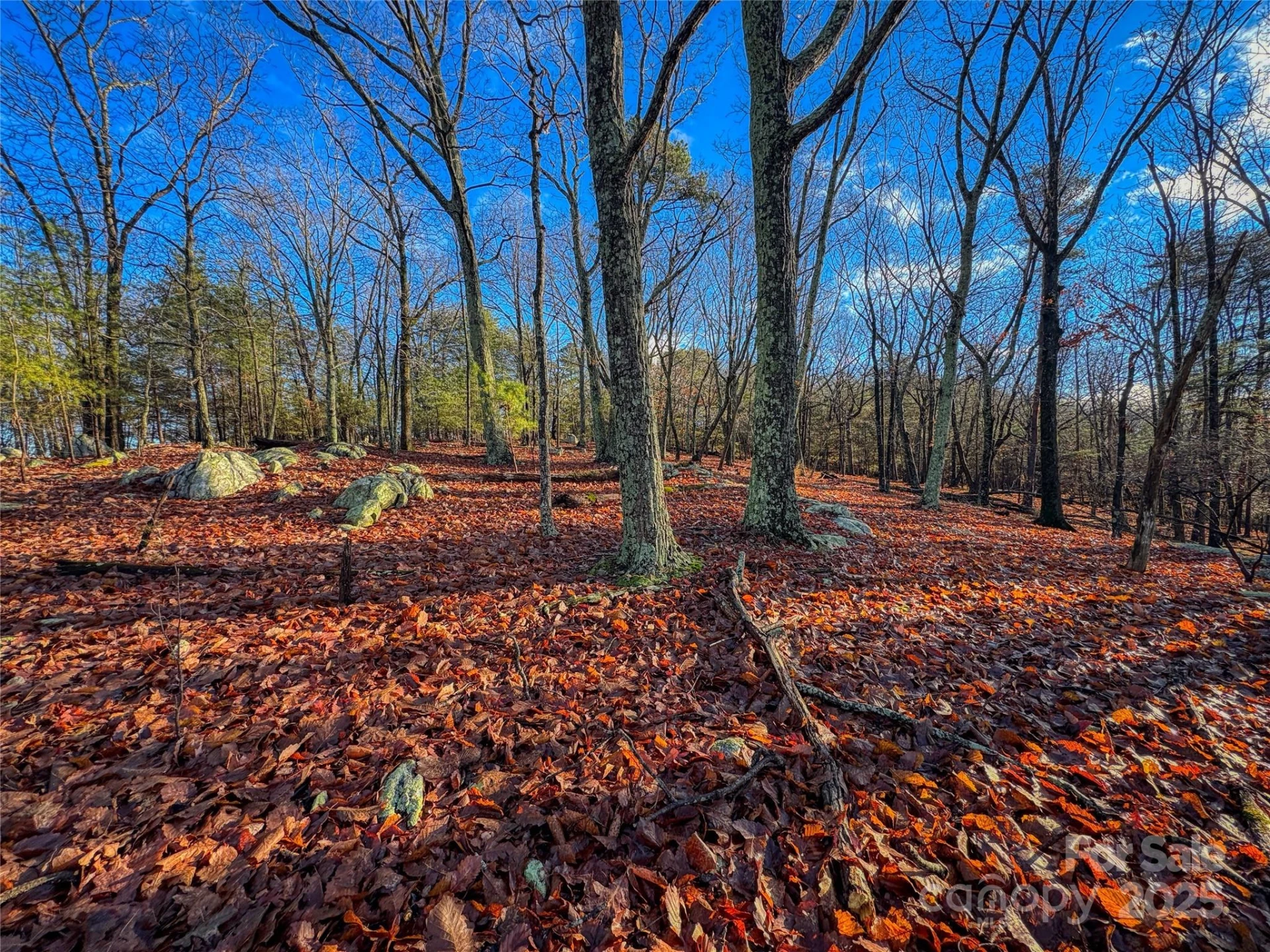 338 Sierra Trace Road - Photo 5