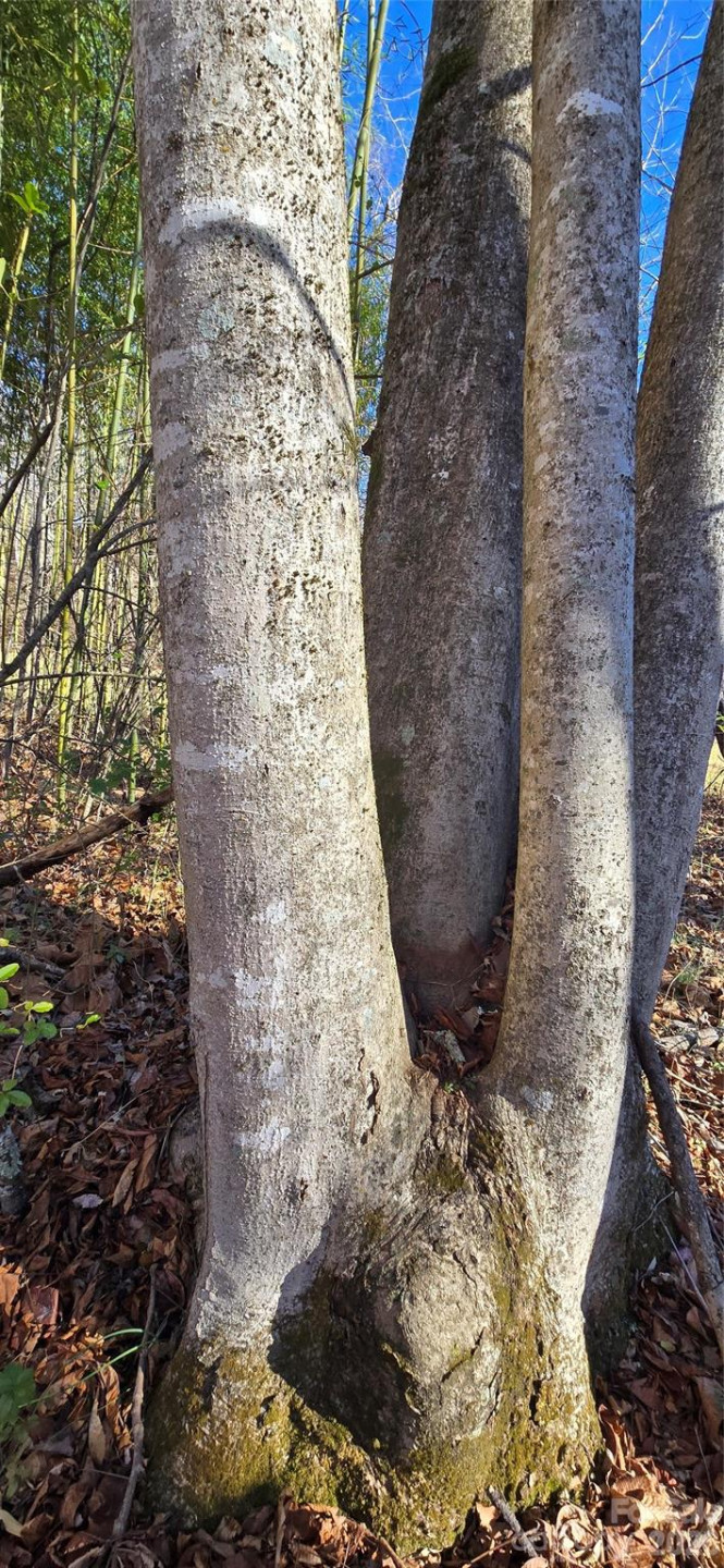 Lot 3 Turtle Rock Lane - Photo 20