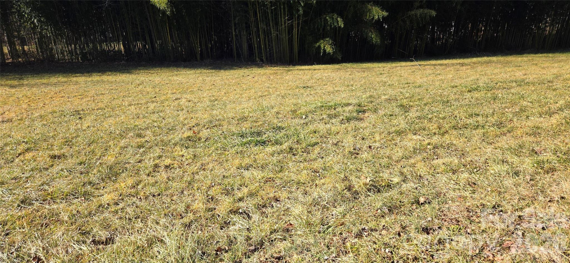 Lot 3 Turtle Rock Lane - Photo 3