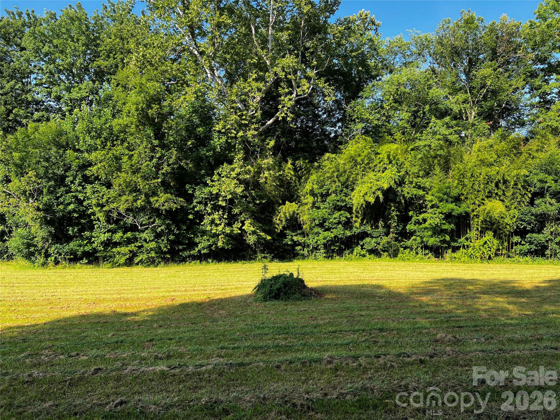 Lot 3 Turtle Rock Lane - Photo 27