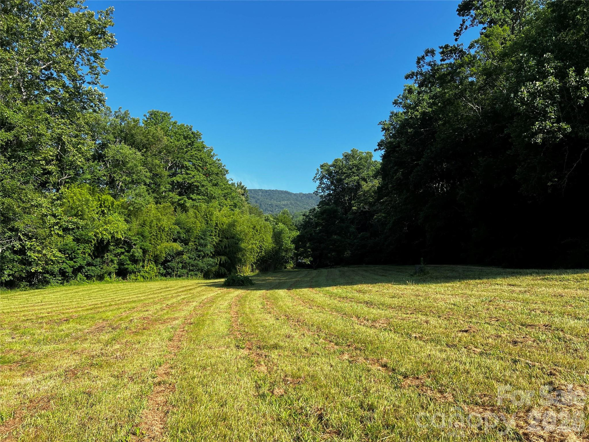 Lot 3 Turtle Rock Lane - Photo 28