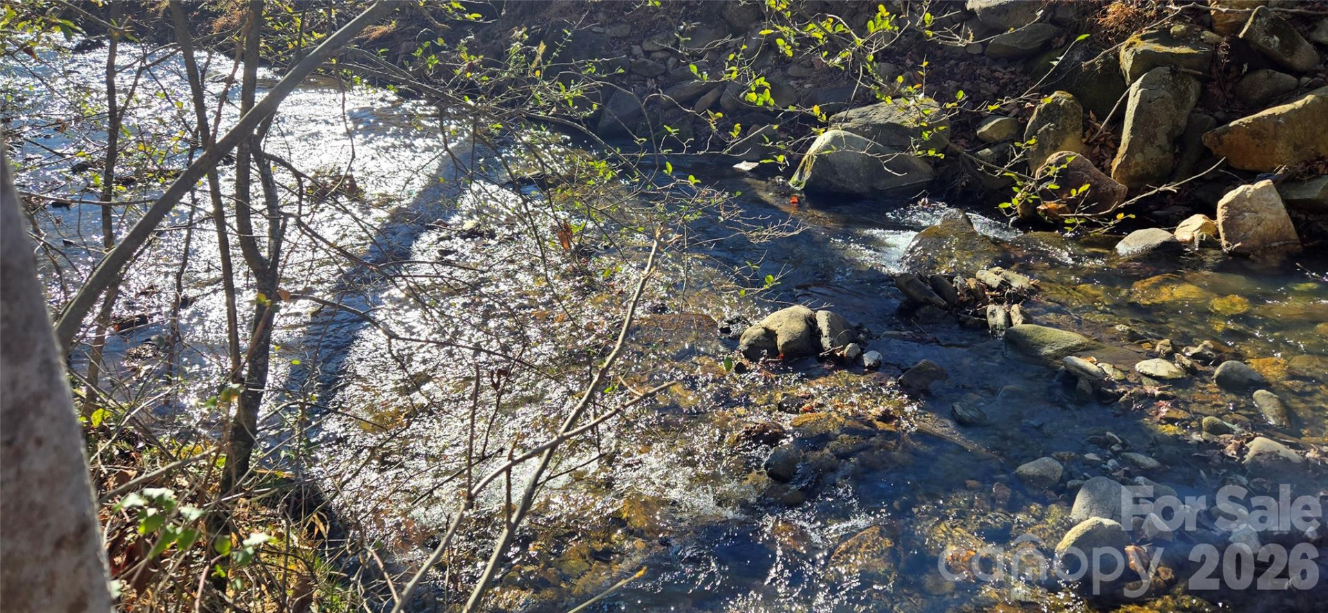 Lot 3 Turtle Rock Lane - Photo 10