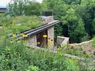 112 Moon Shadow Lane - Photo 6