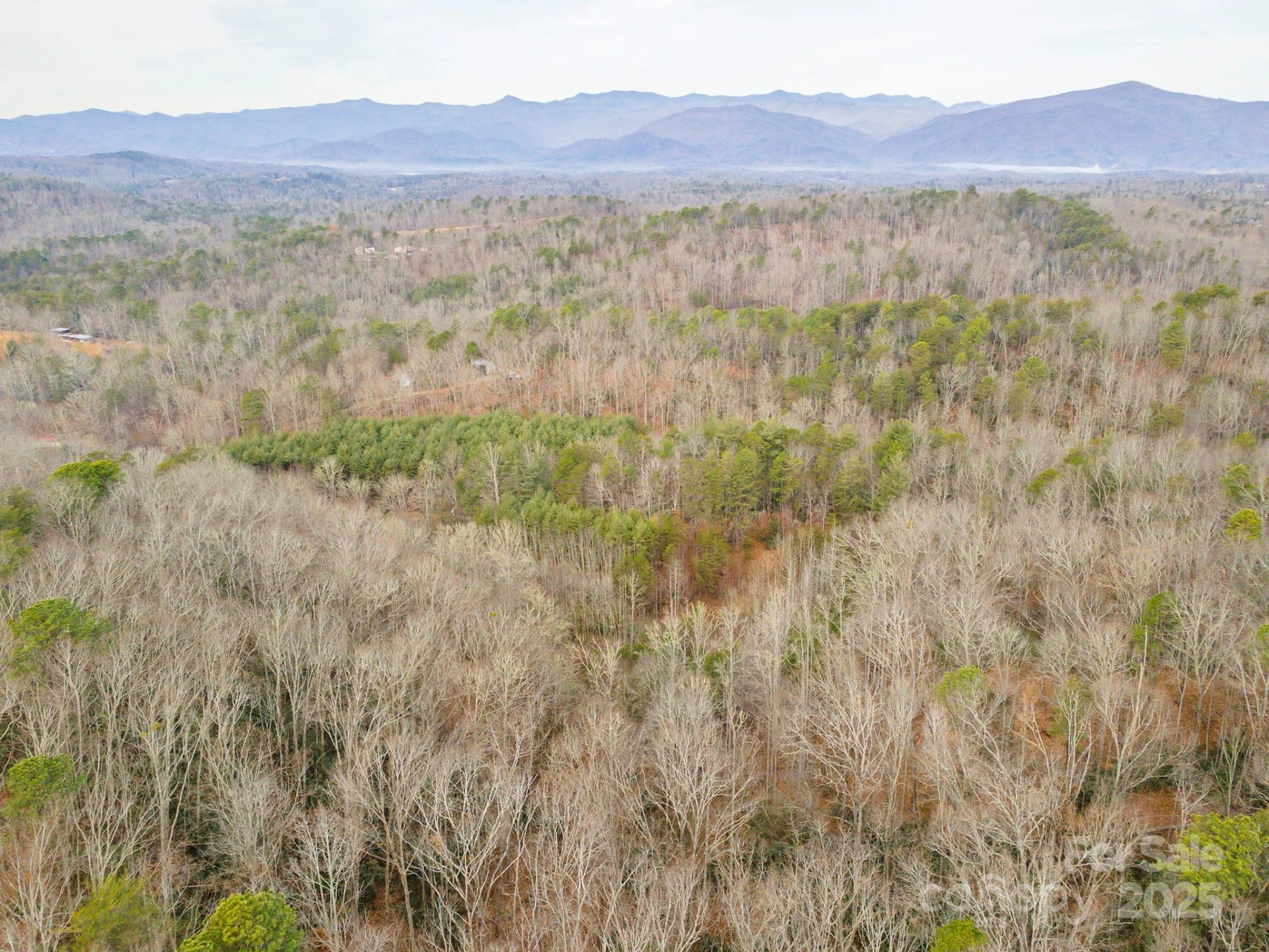 380 Buttercup Lane - Photo 11