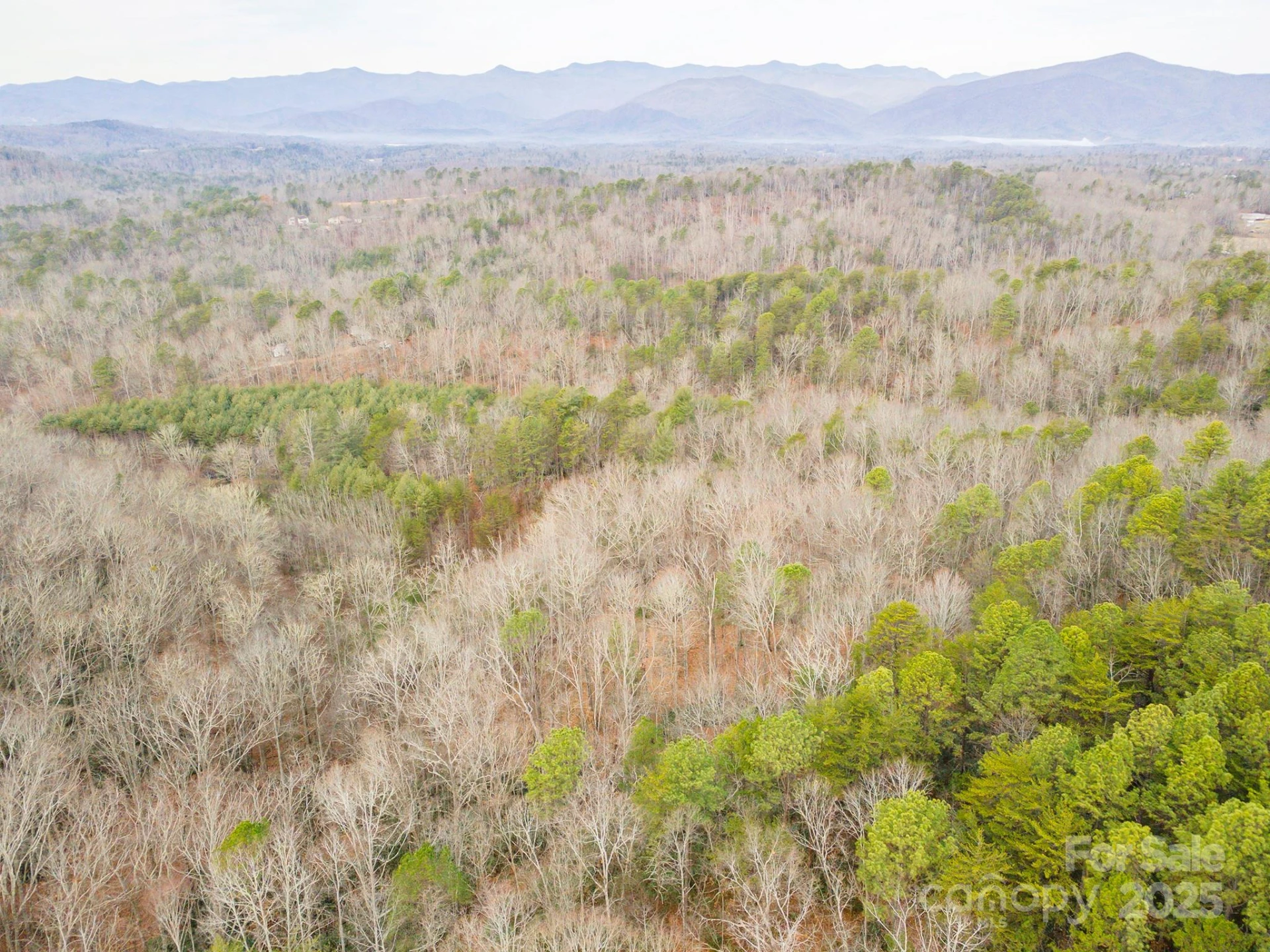 380 Buttercup Lane - Photo 12