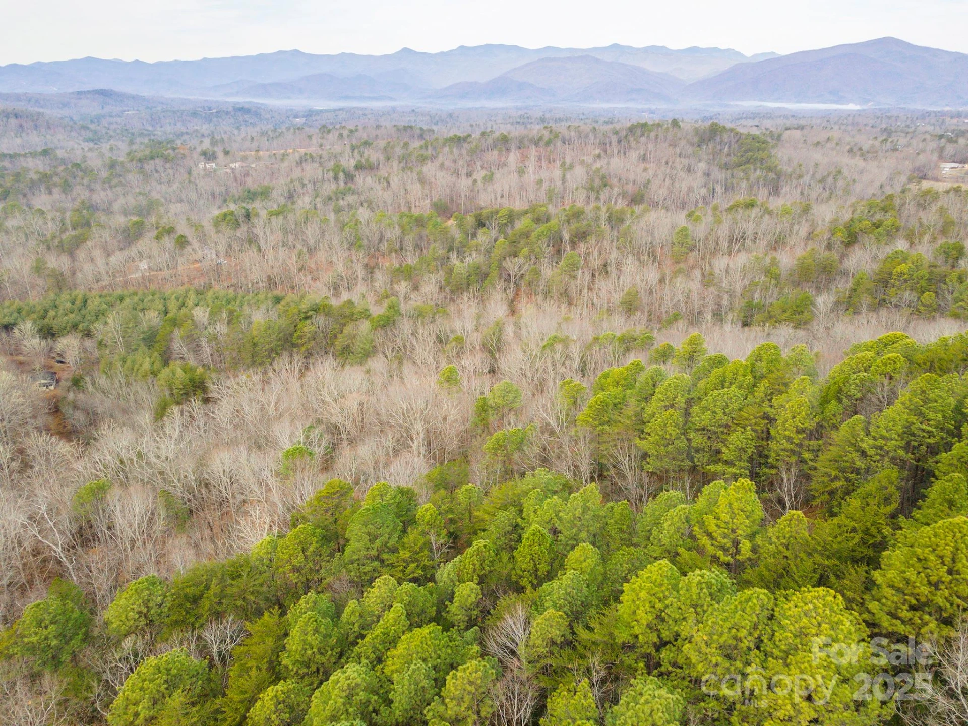 380 Buttercup Lane - Photo 13