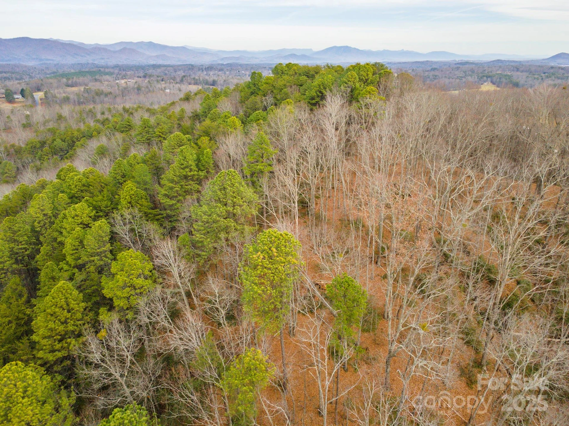 380 Buttercup Lane - Photo 14