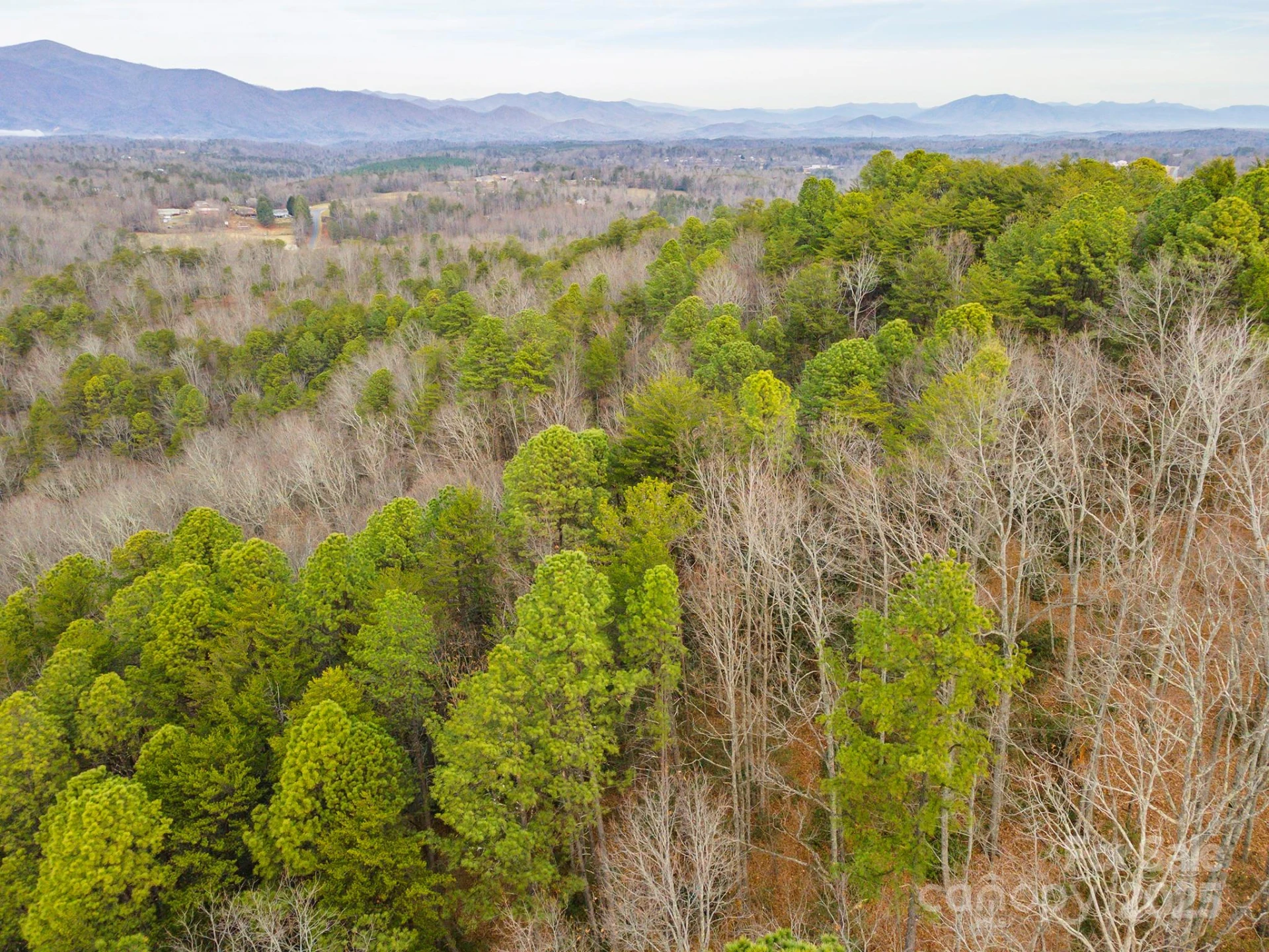 380 Buttercup Lane - Photo 15