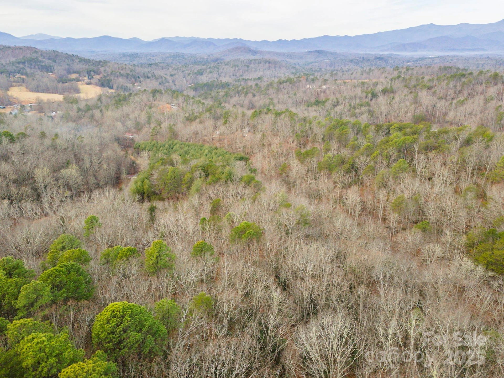 380 Buttercup Lane - Photo 16