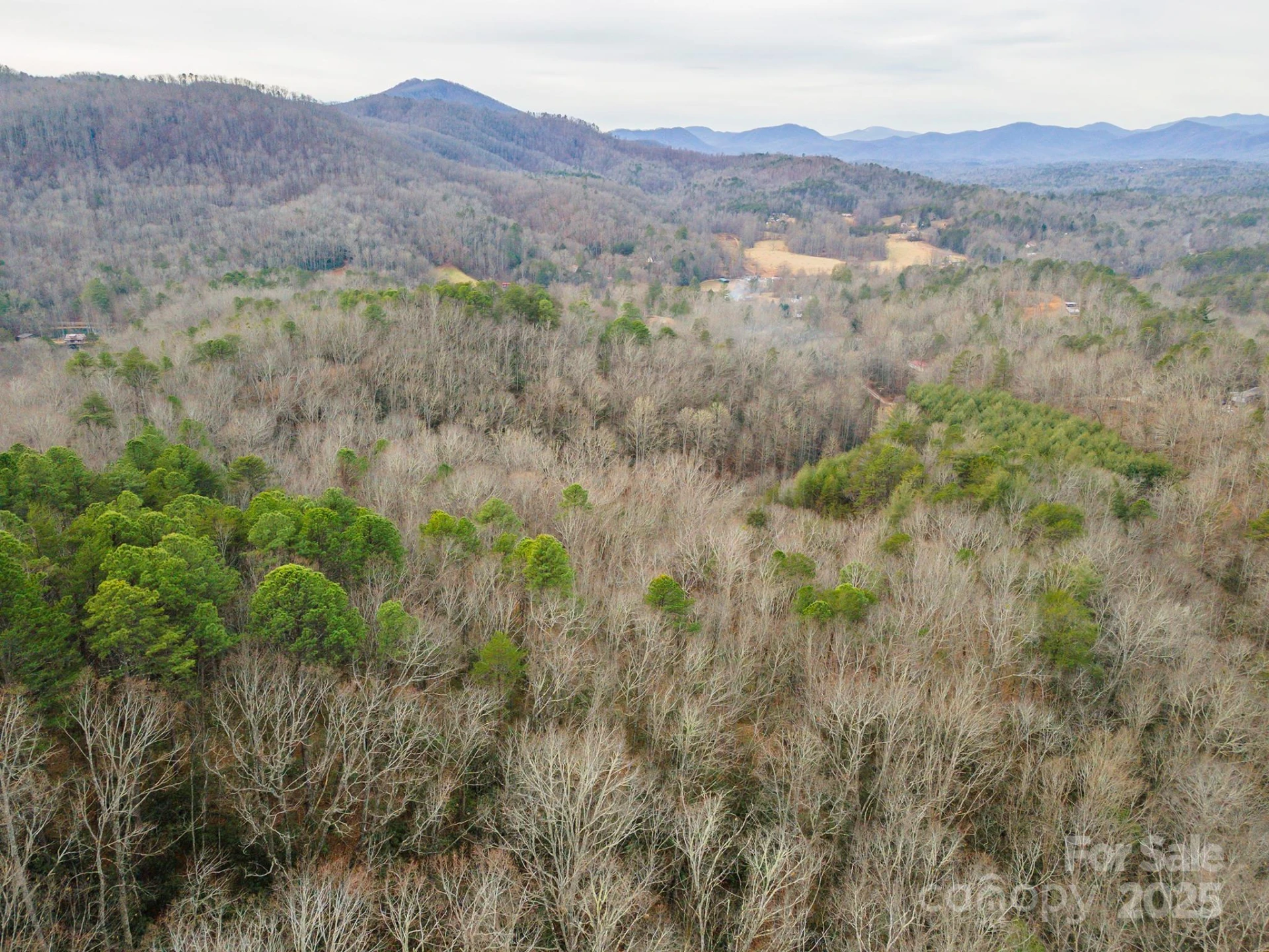 380 Buttercup Lane - Photo 17