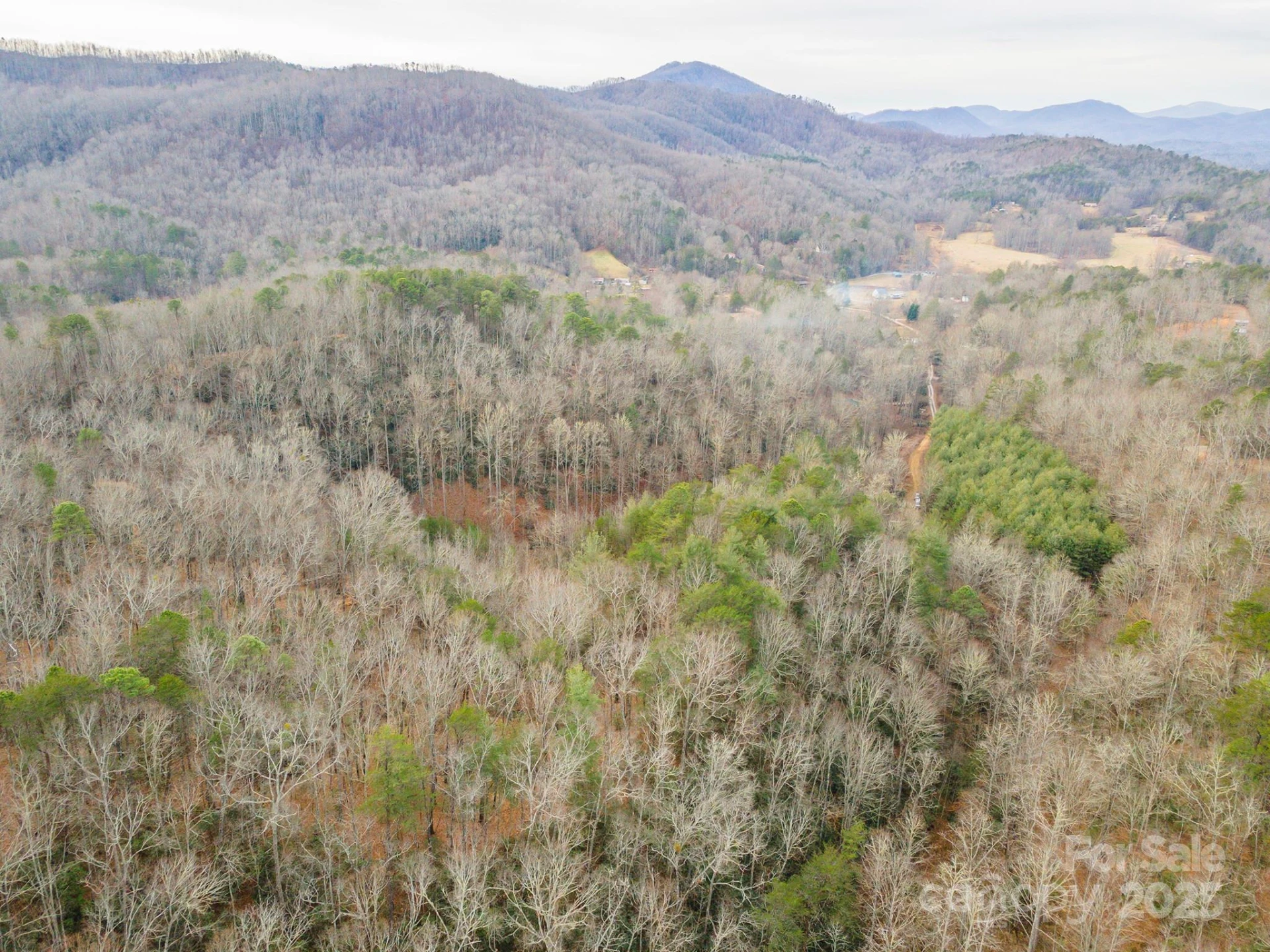 380 Buttercup Lane - Photo 19