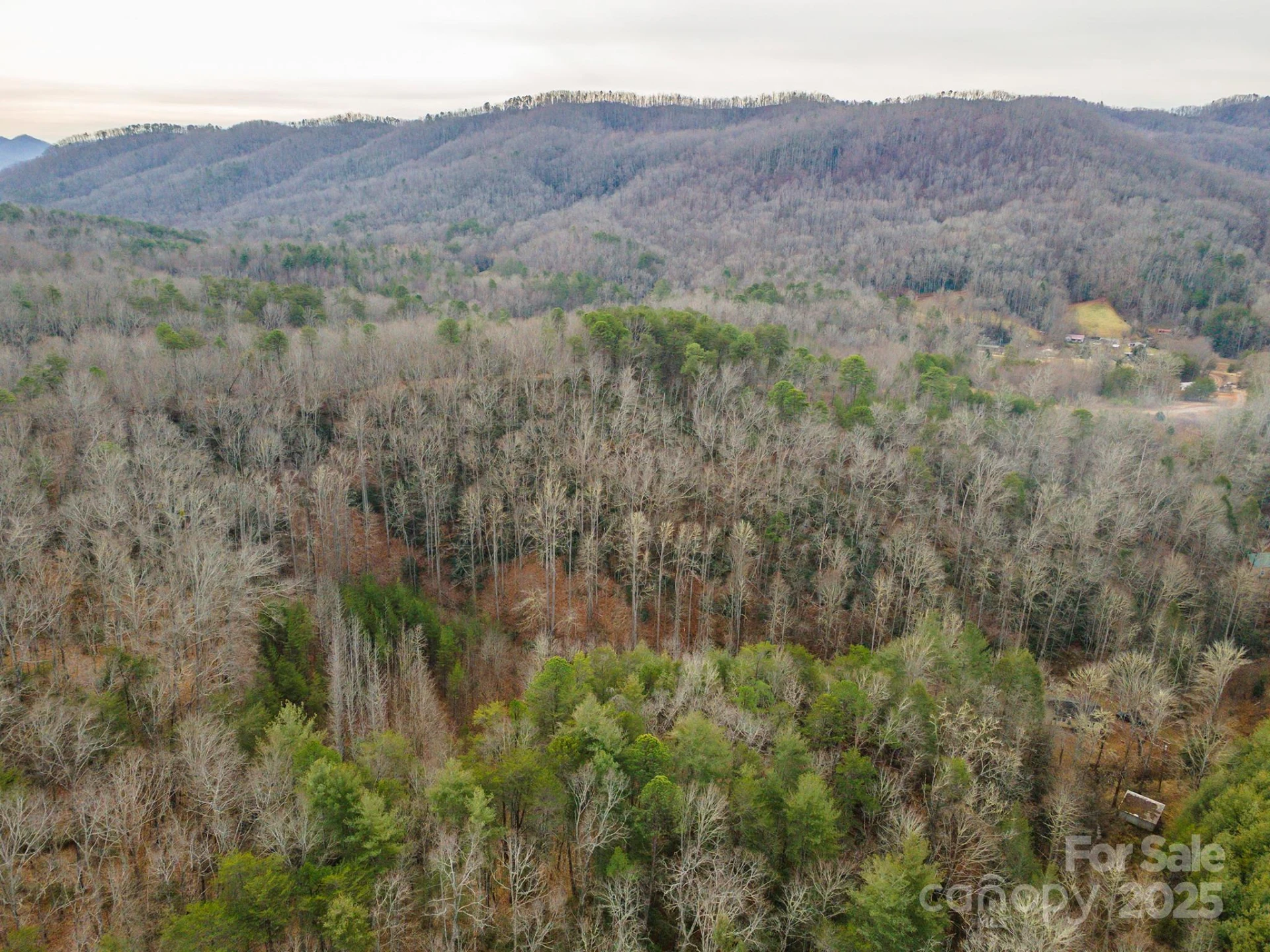 380 Buttercup Lane - Photo 21