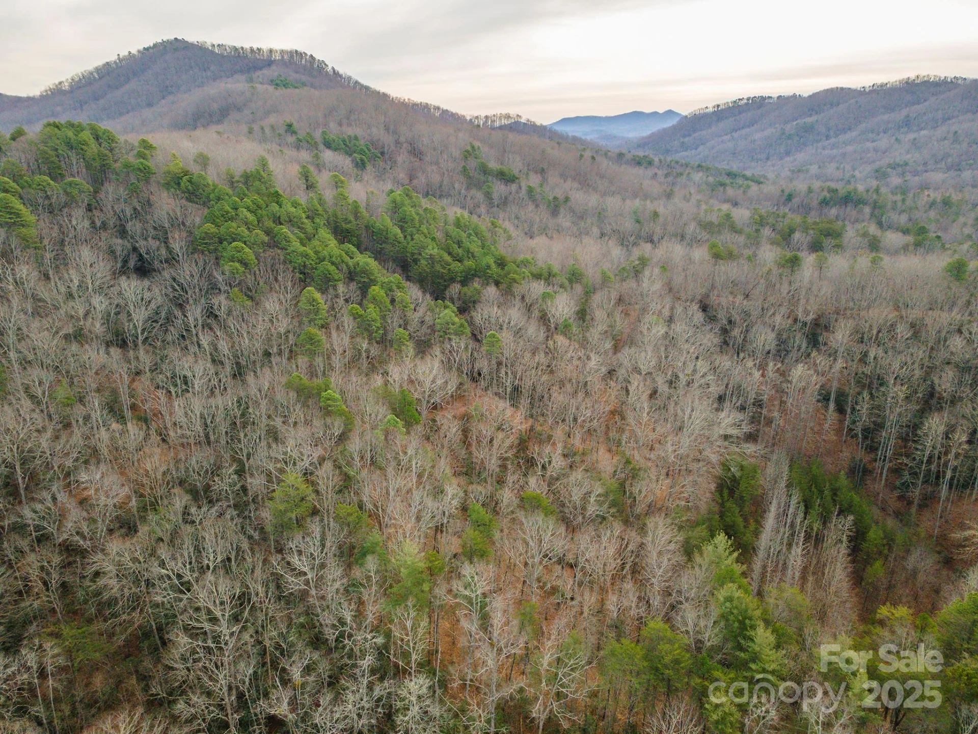 380 Buttercup Lane - Photo 22