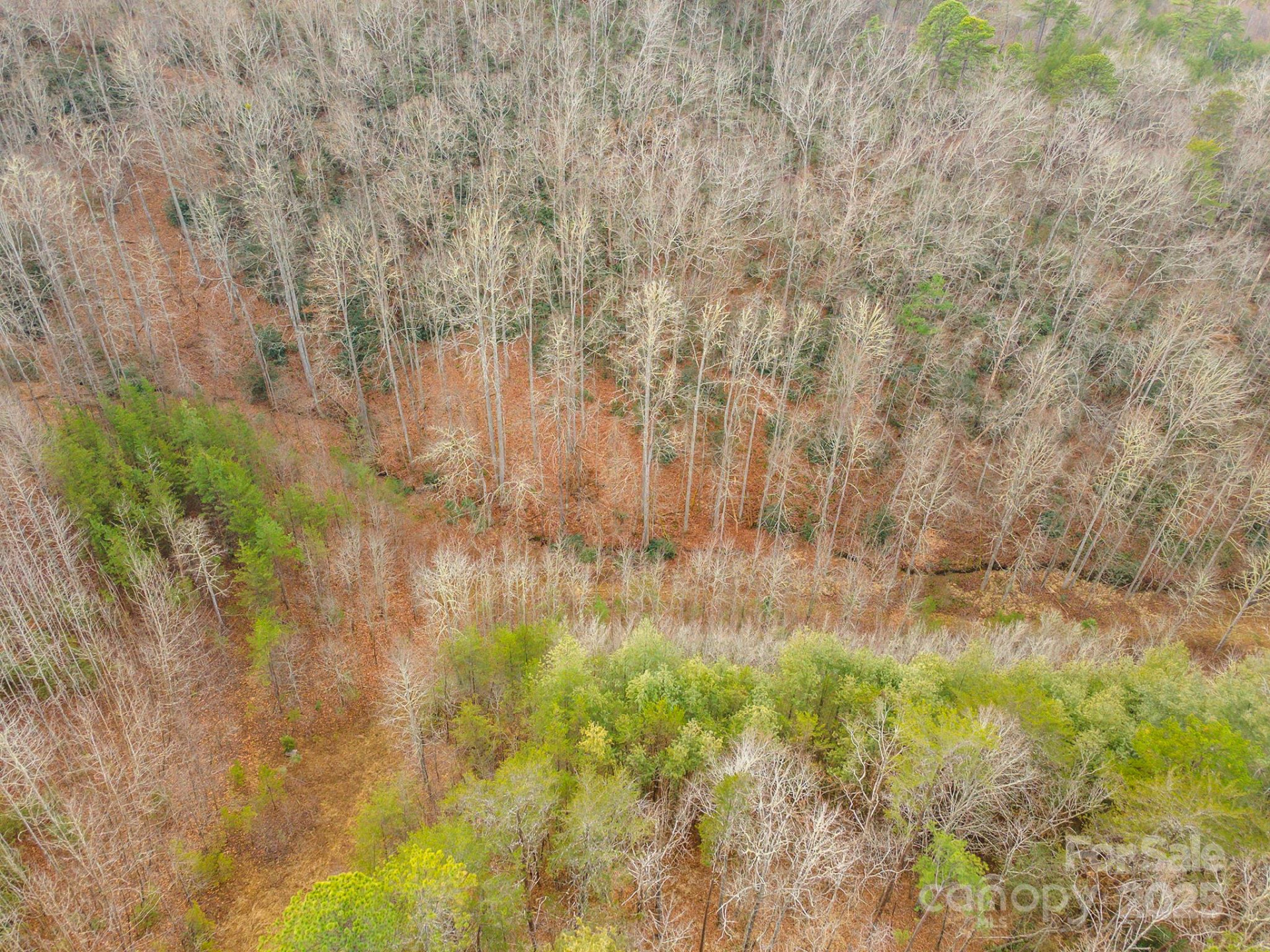 380 Buttercup Lane - Photo 24