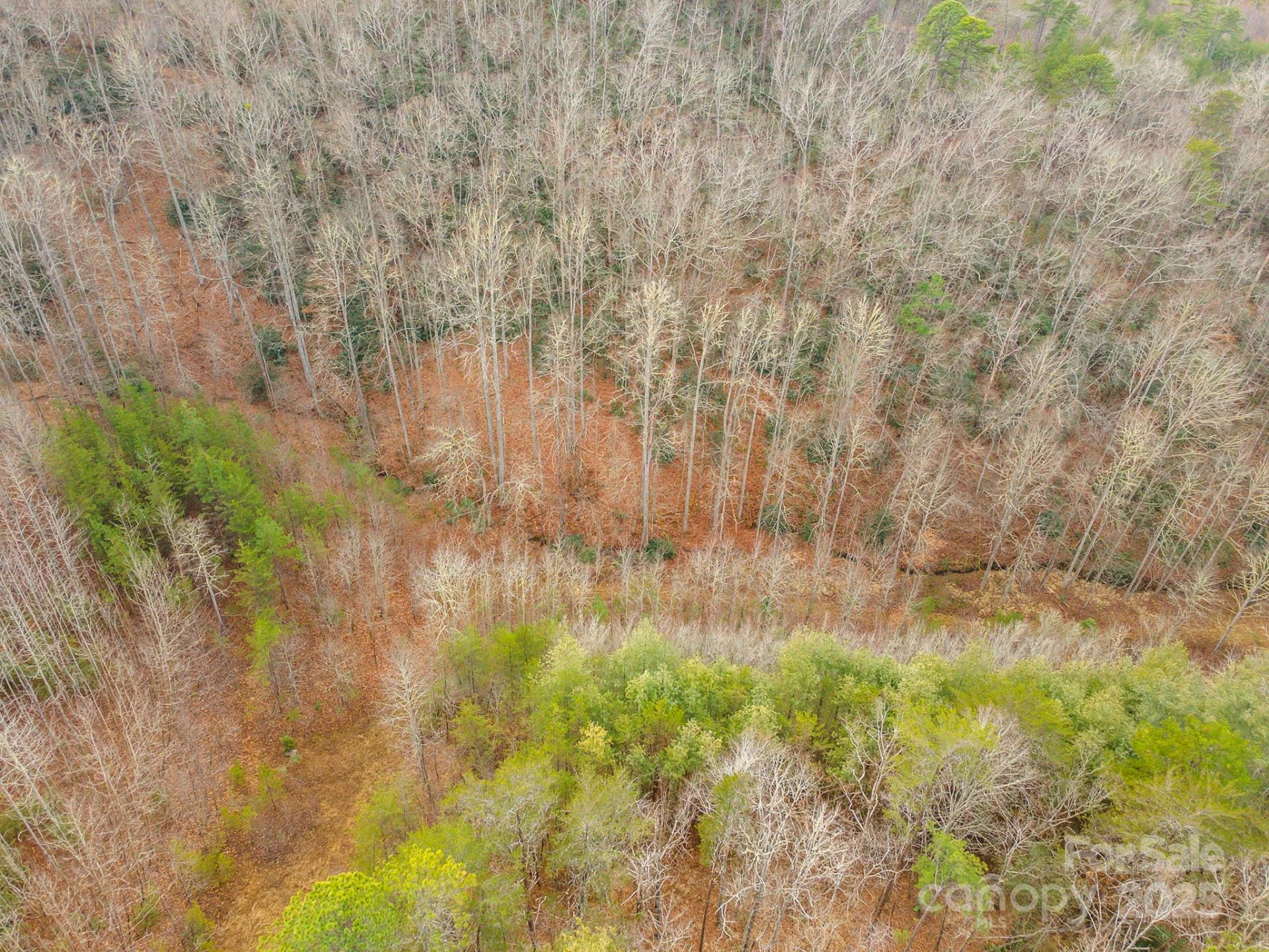 380 Buttercup Lane - Photo 24