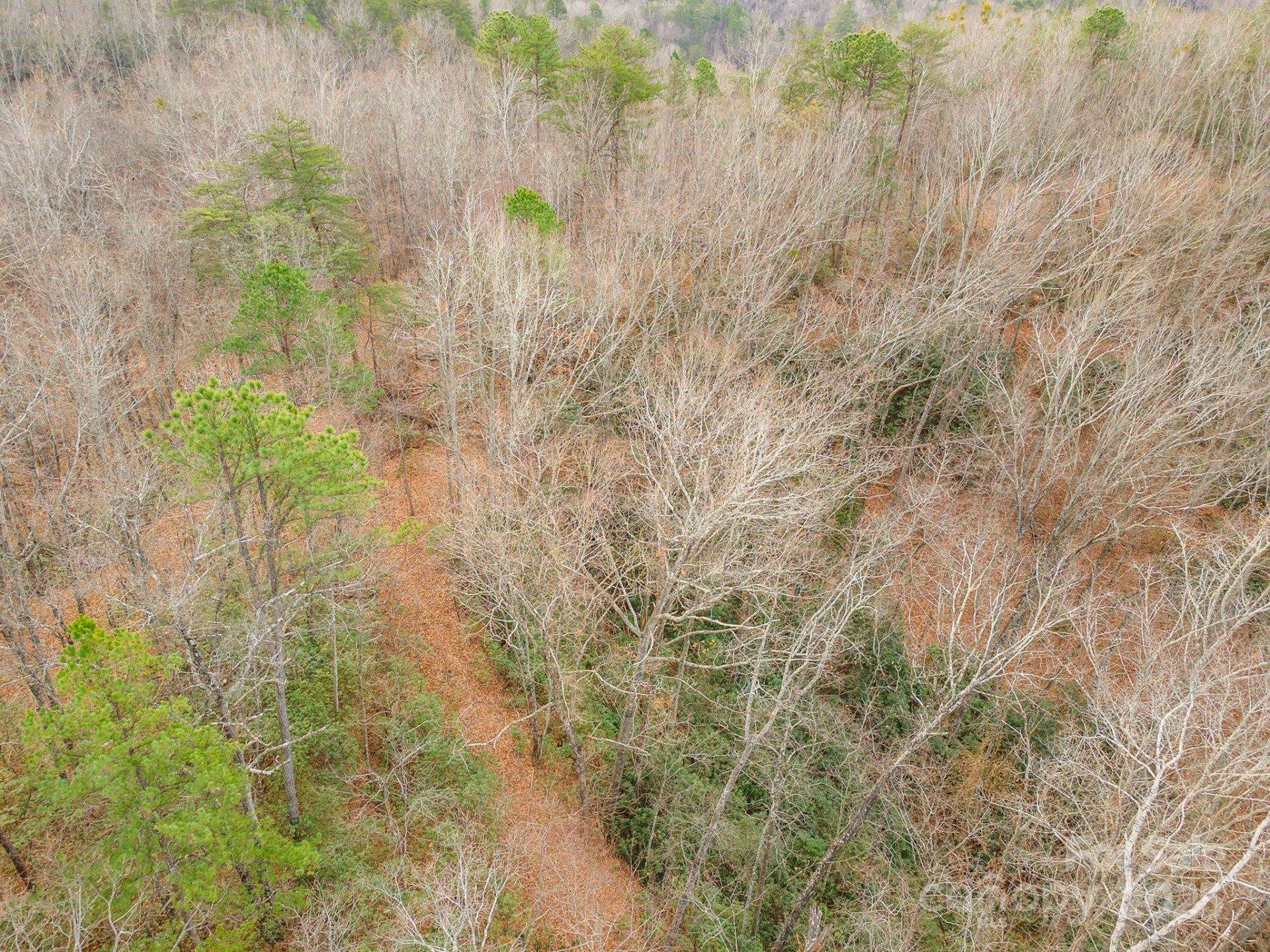 380 Buttercup Lane - Photo 25