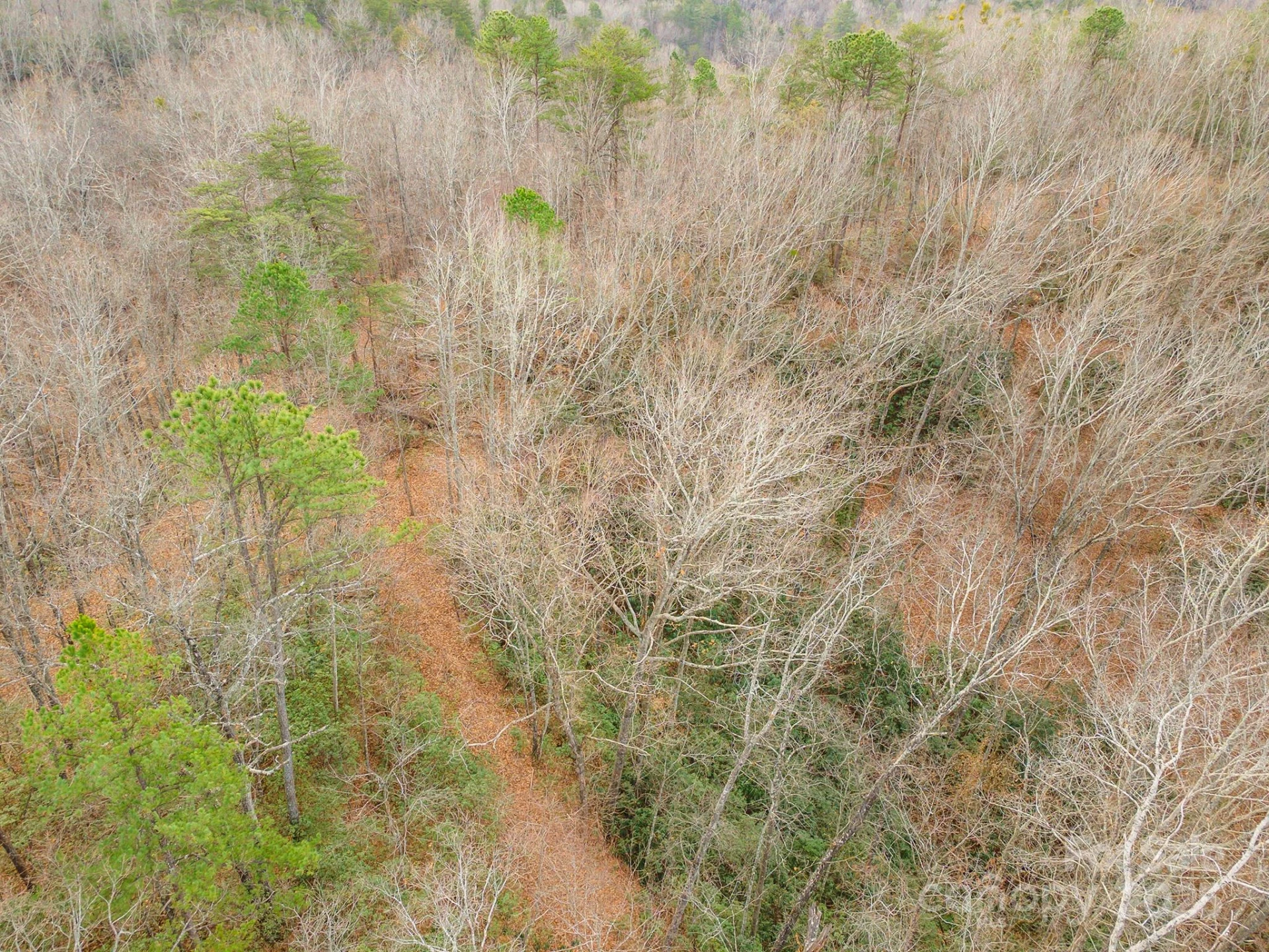 380 Buttercup Lane - Photo 25