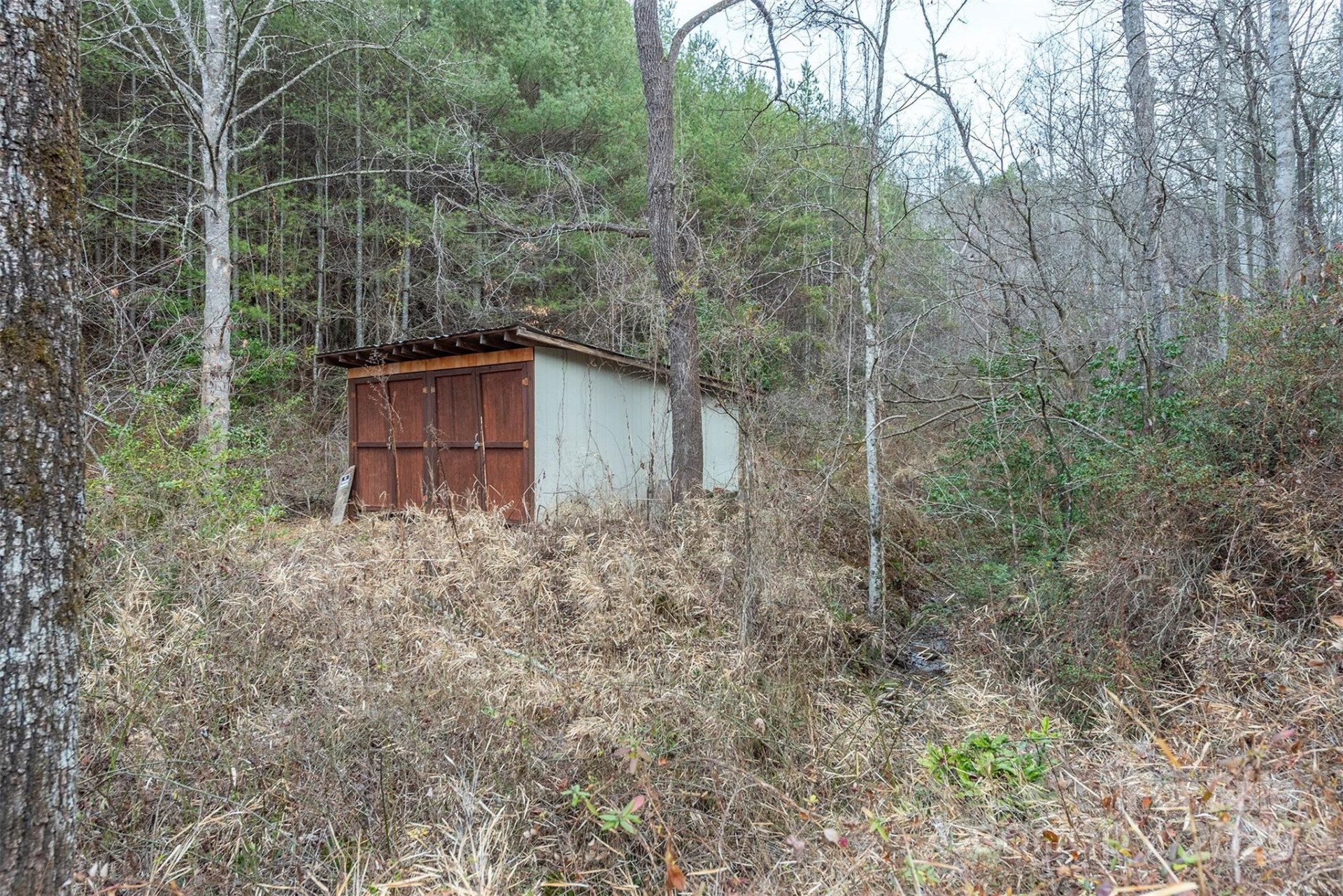 380 Buttercup Lane - Photo 8