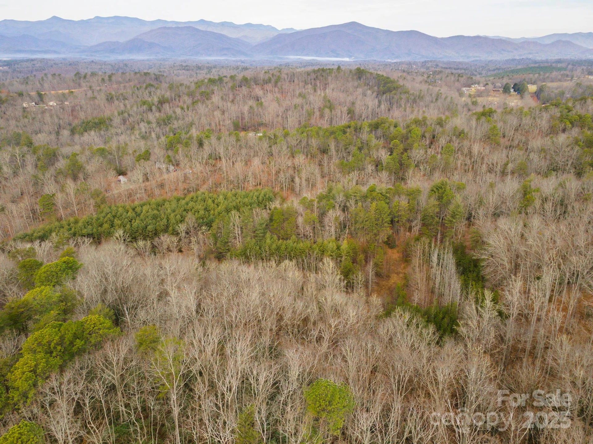 380 Buttercup Lane - Photo 9