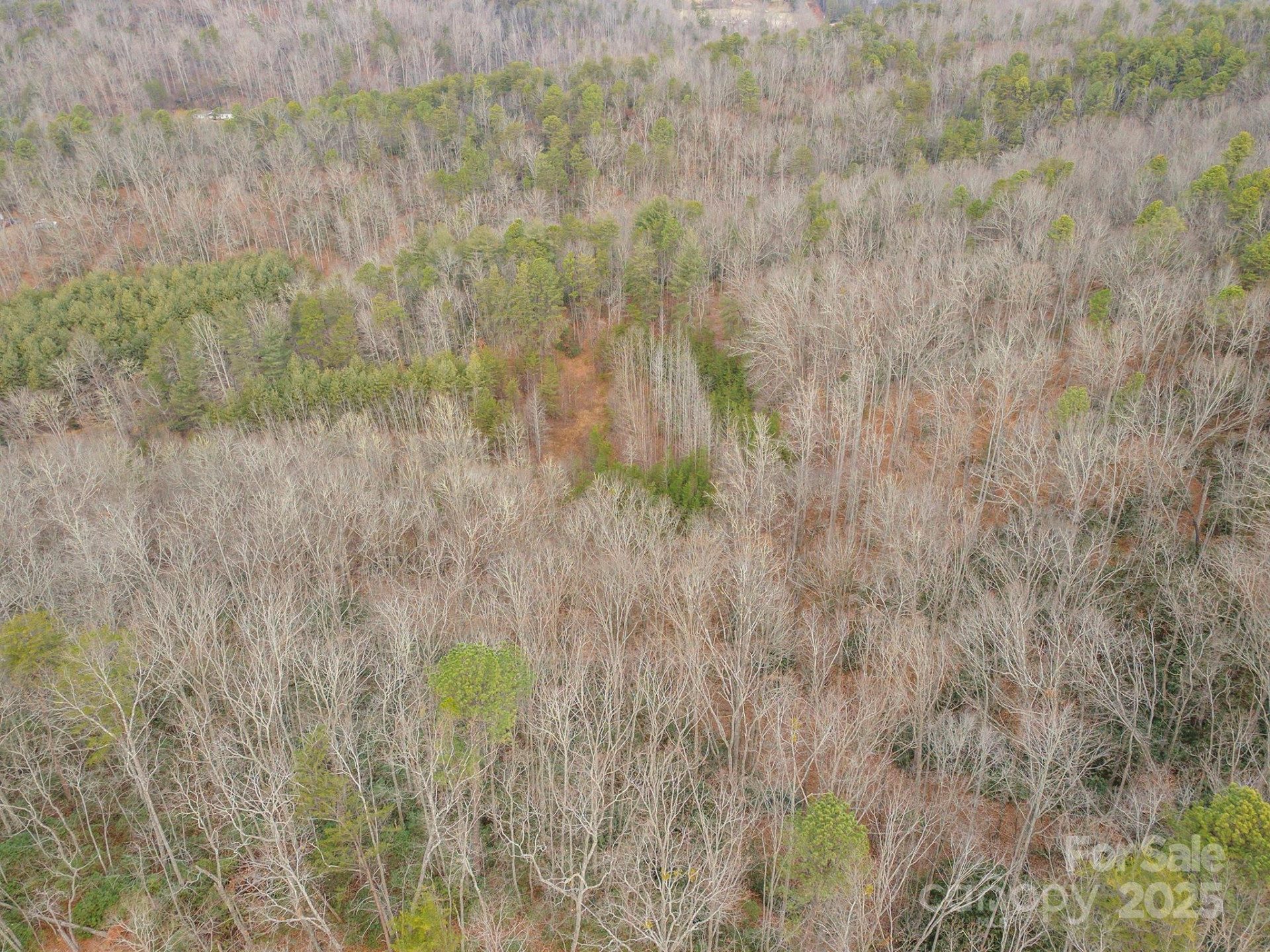 380 Buttercup Lane - Photo 10