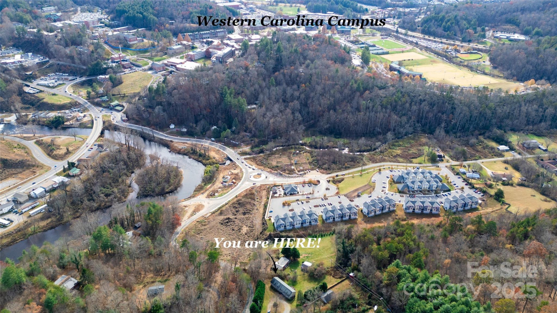 407 Monteith Gap Road - Photo 4