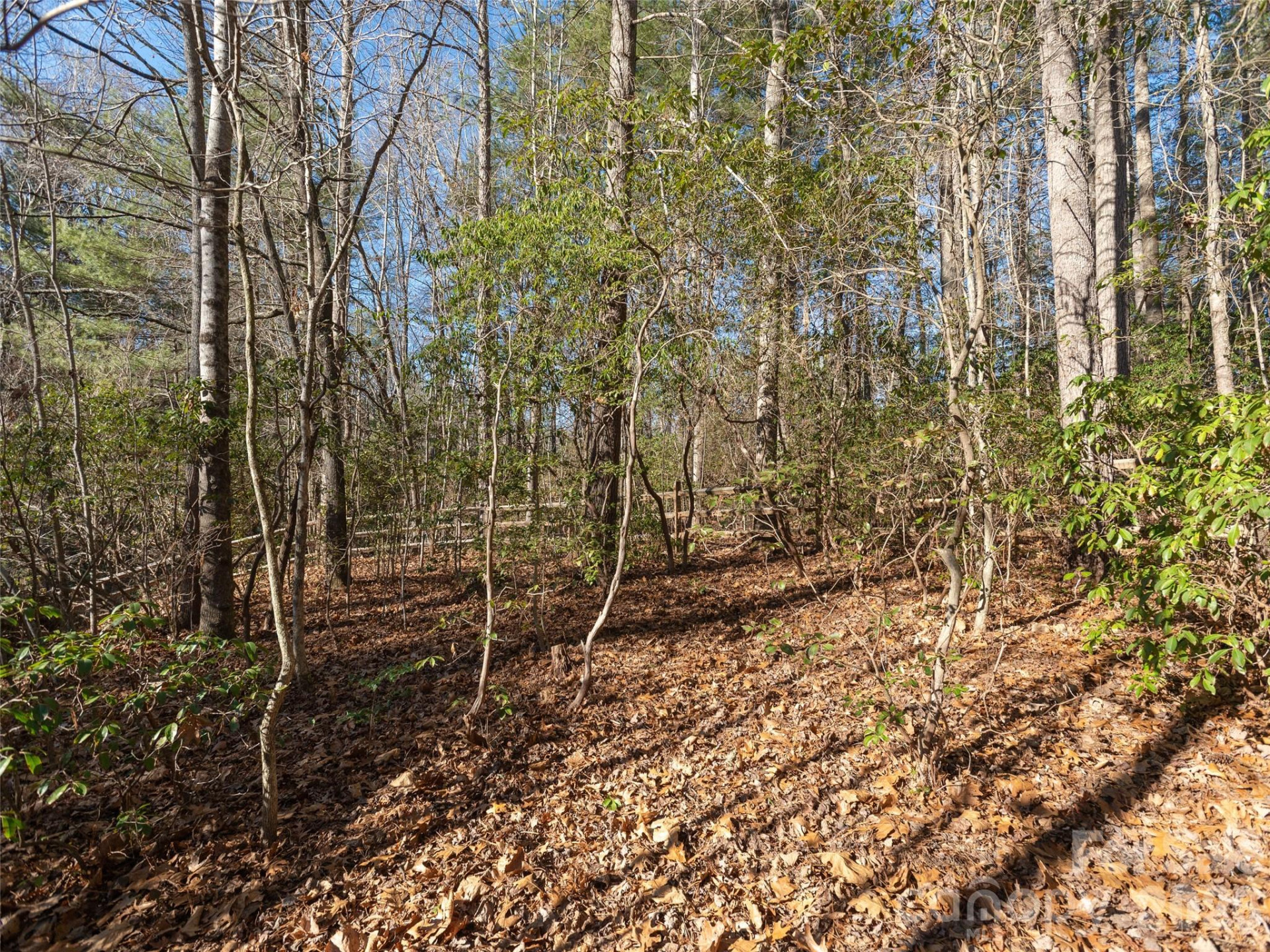 128 Camellia Way - Photo 34