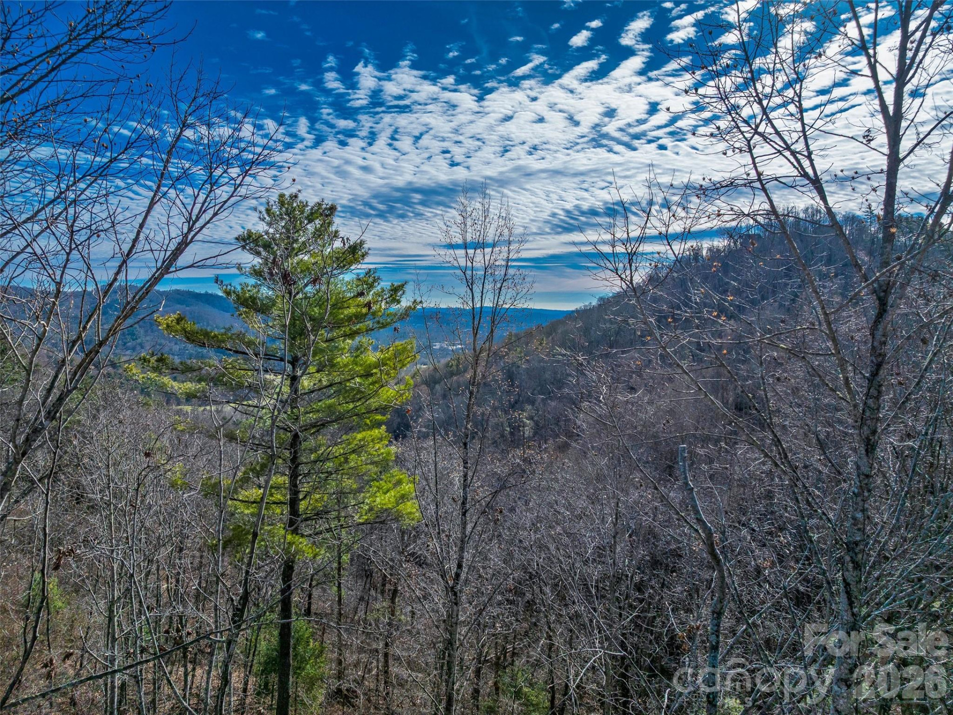 10 Villa Nova Drive - Photo 18