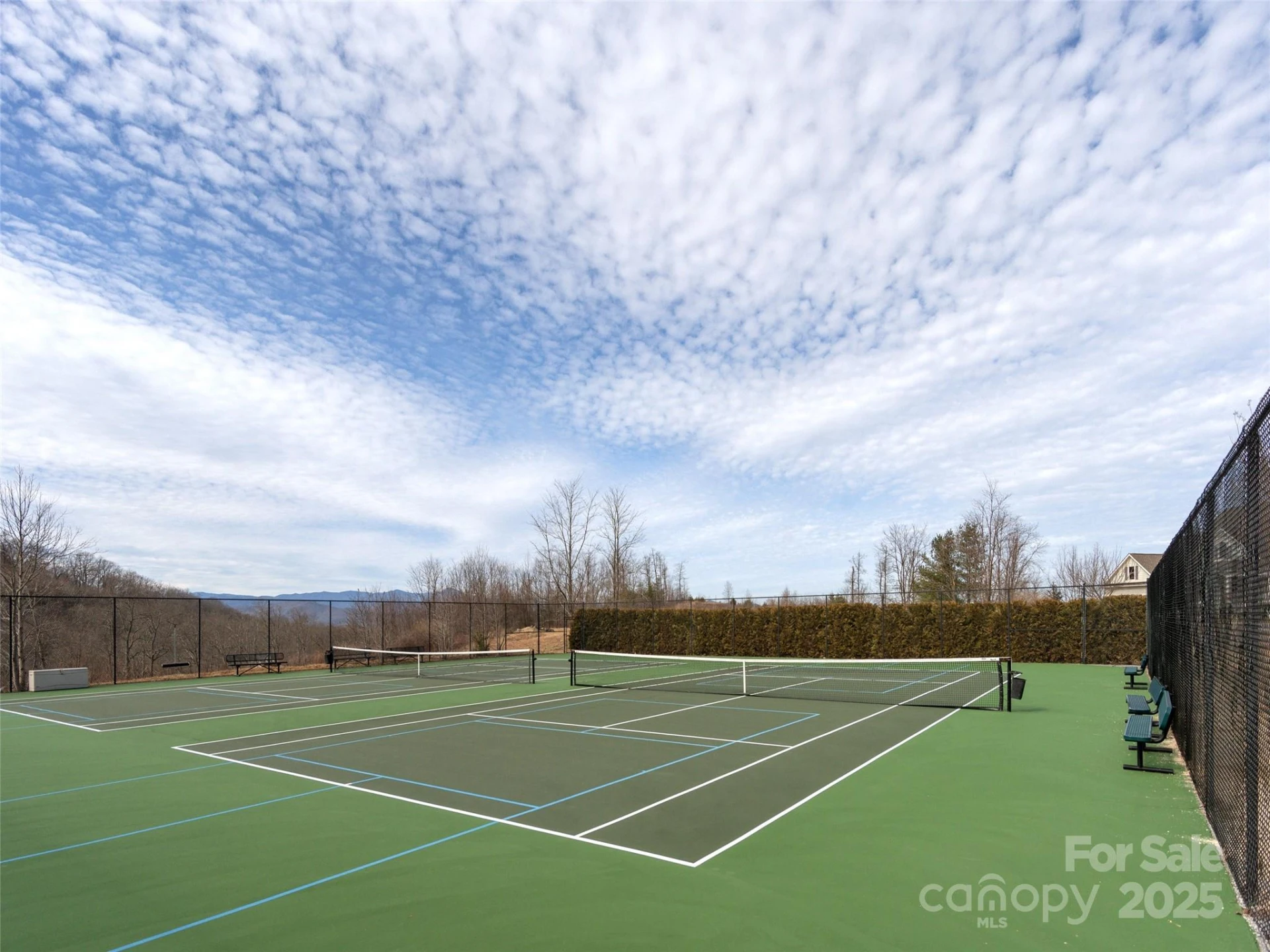 210 Black Oak Lane - Photo 48