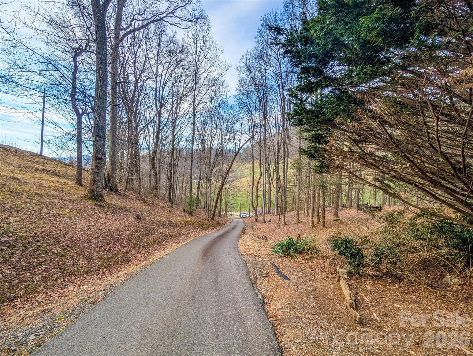 1372 Lickskillet Road - Photo 3