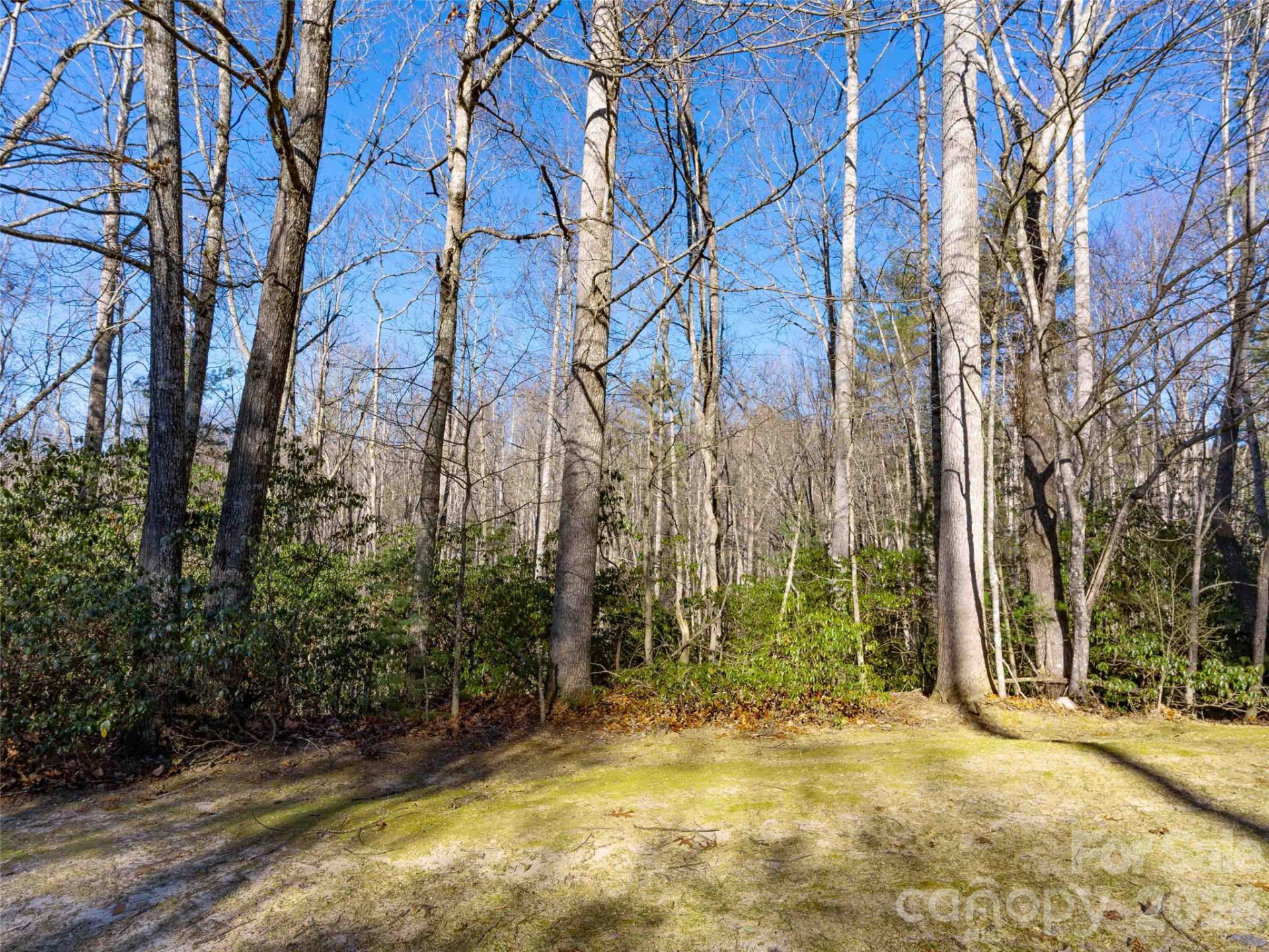 000 Chattooga Run #306 - Photo 15