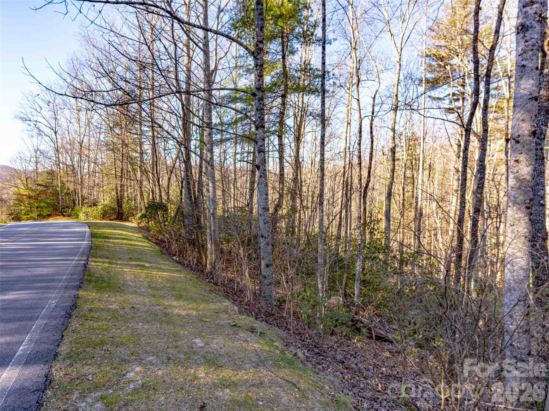 000 Chattooga Run #306 - Photo 16