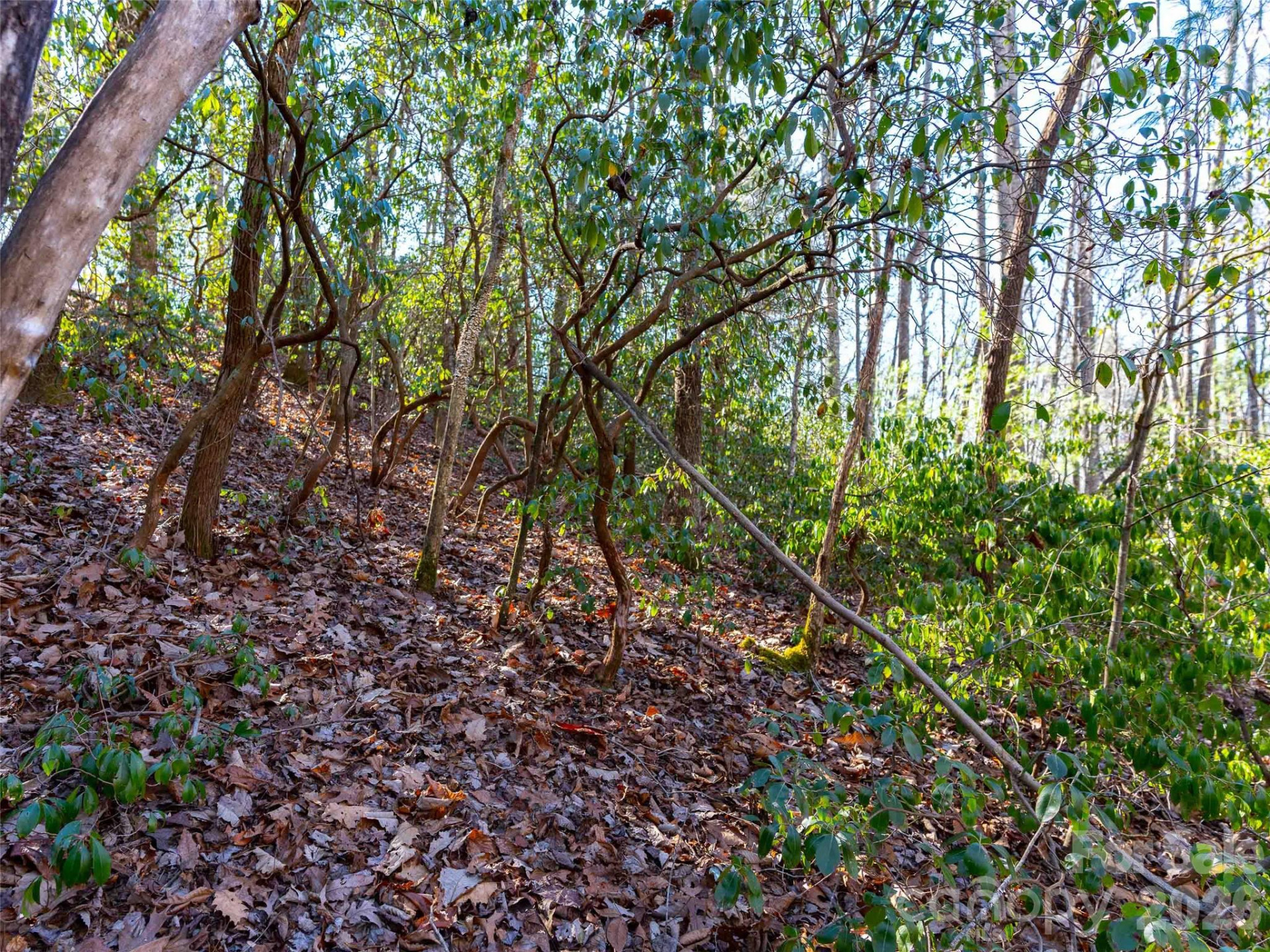 000 Chattooga Run #306 - Photo 18