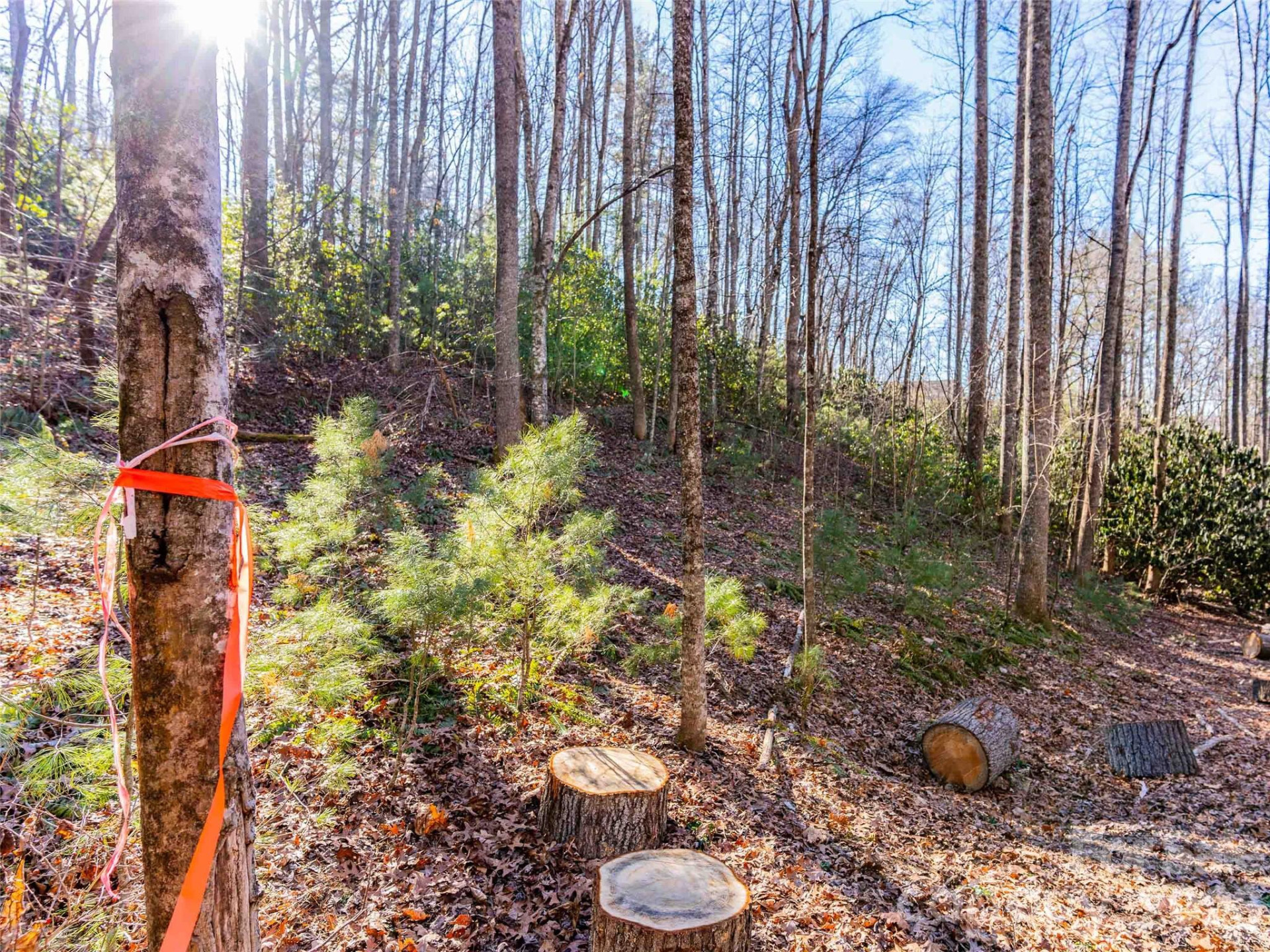 000 Chattooga Run #306 - Photo 19