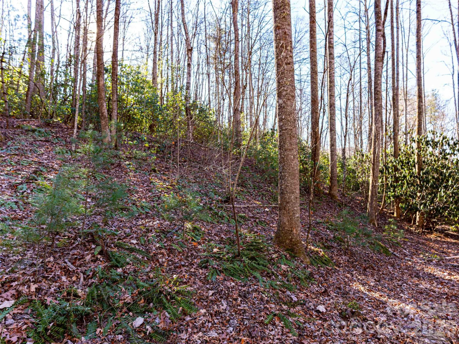 000 Chattooga Run #306 - Photo 21