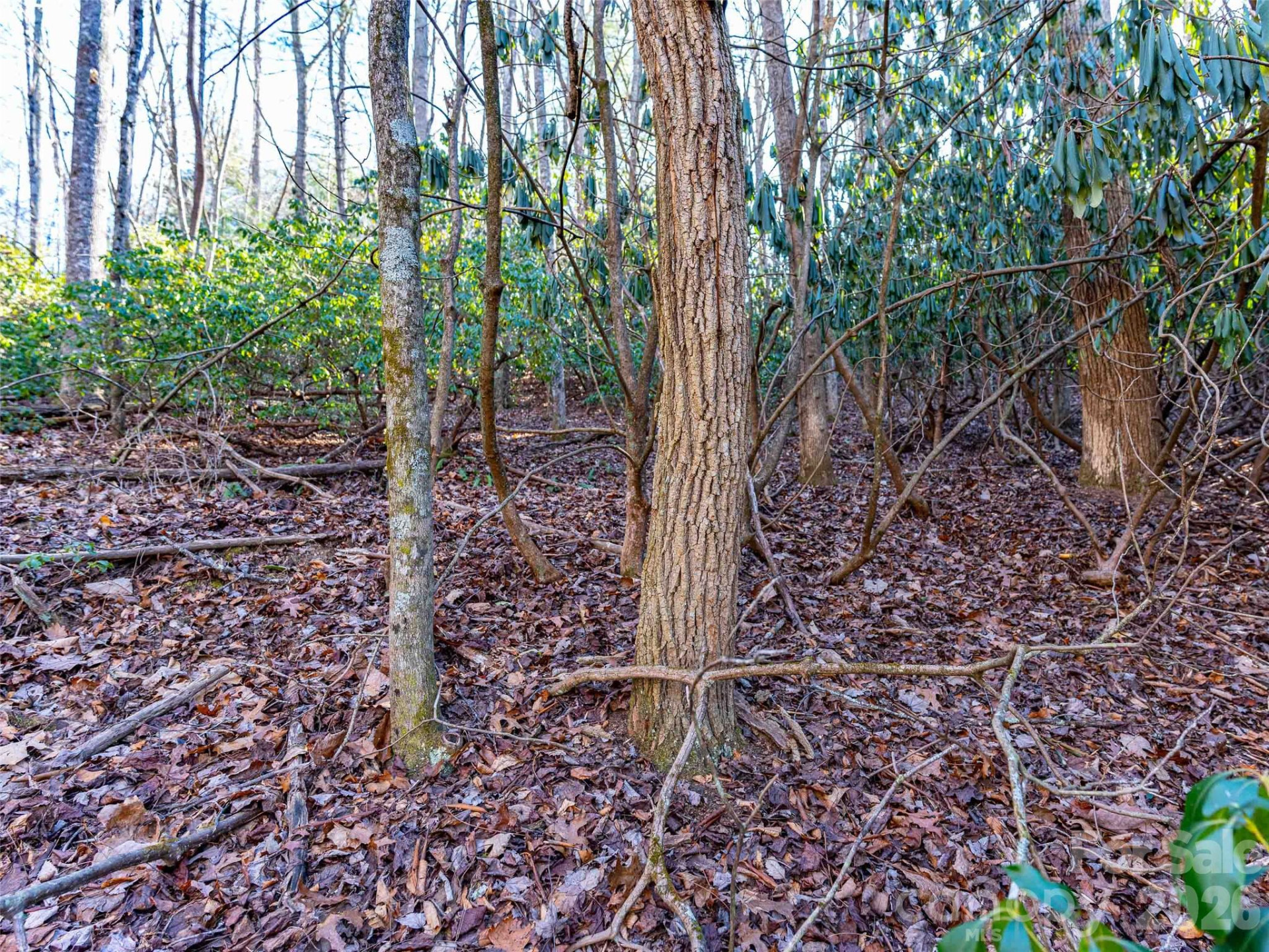 000 Chattooga Run #306 - Photo 22