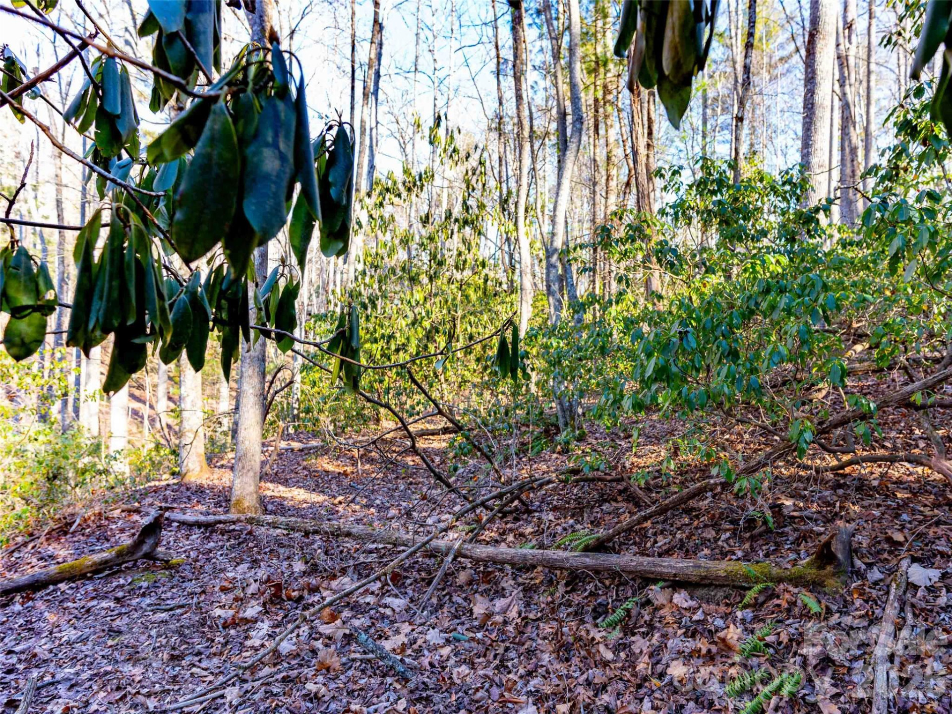 000 Chattooga Run #306 - Photo 23