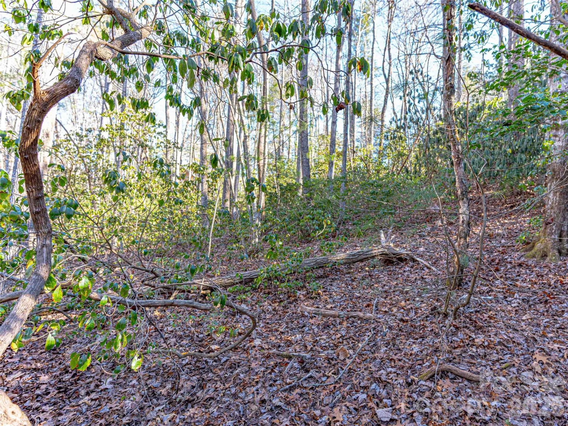 000 Chattooga Run #306 - Photo 24