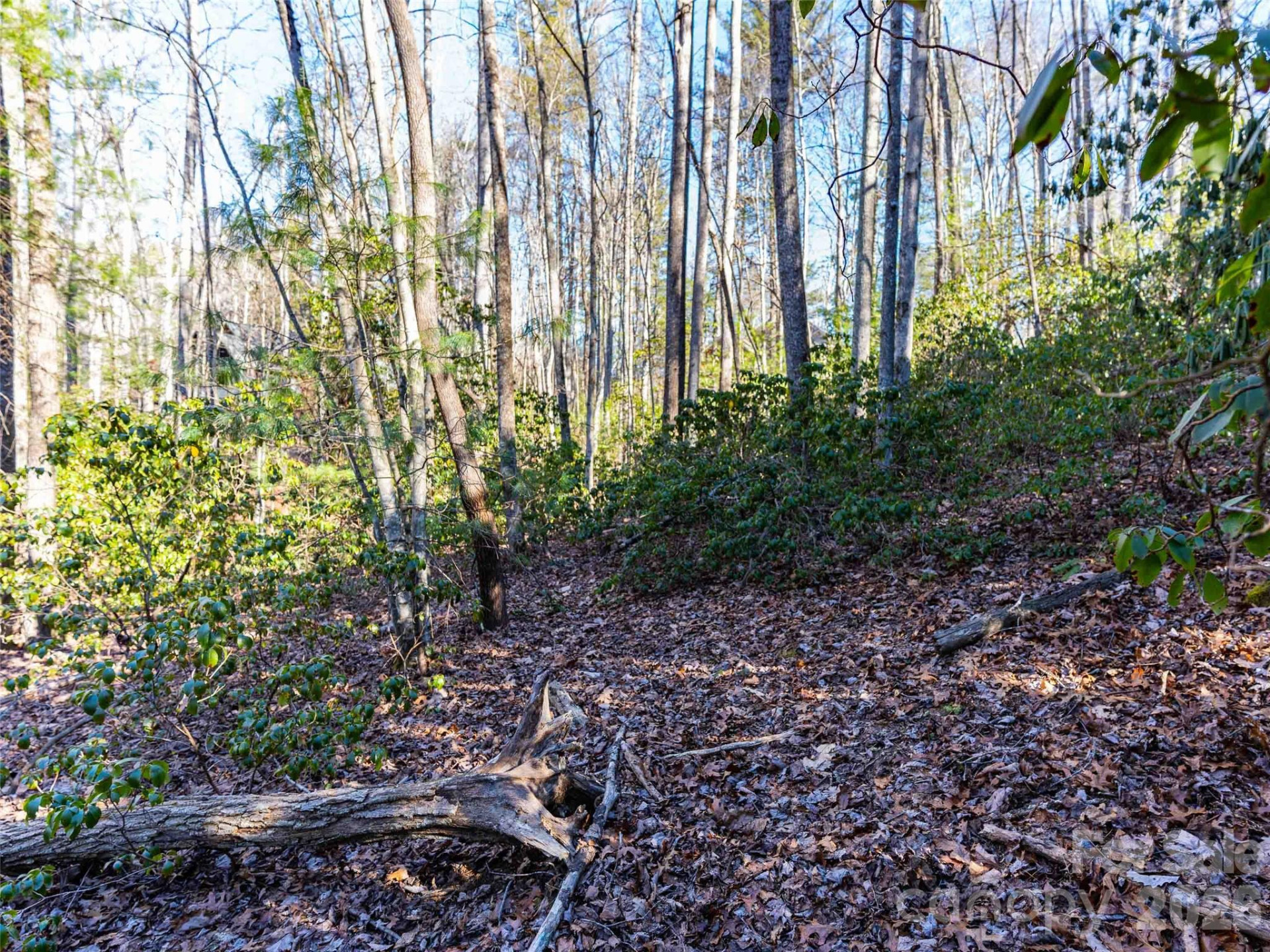 000 Chattooga Run #306 - Photo 25