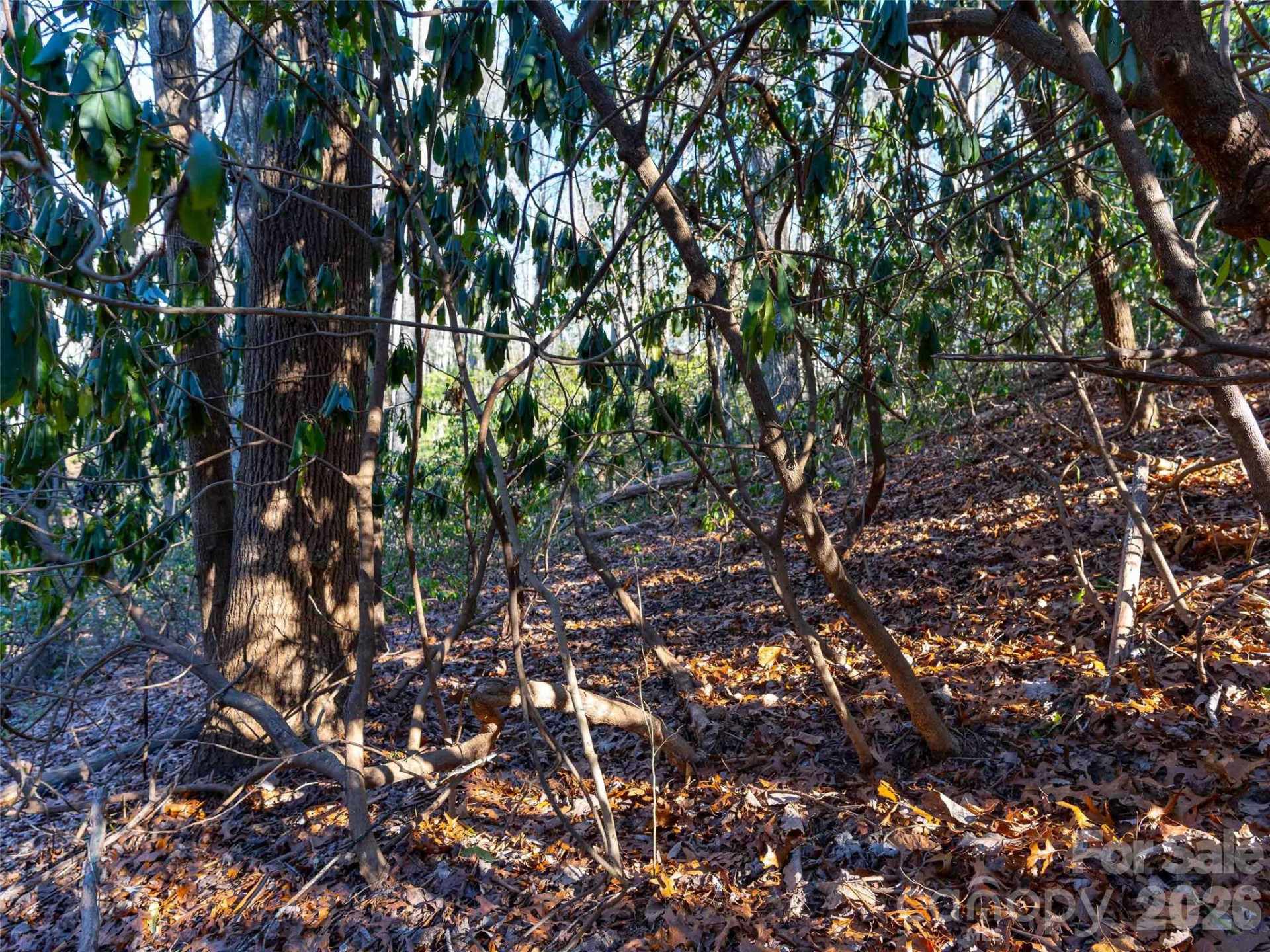 000 Chattooga Run #306 - Photo 26